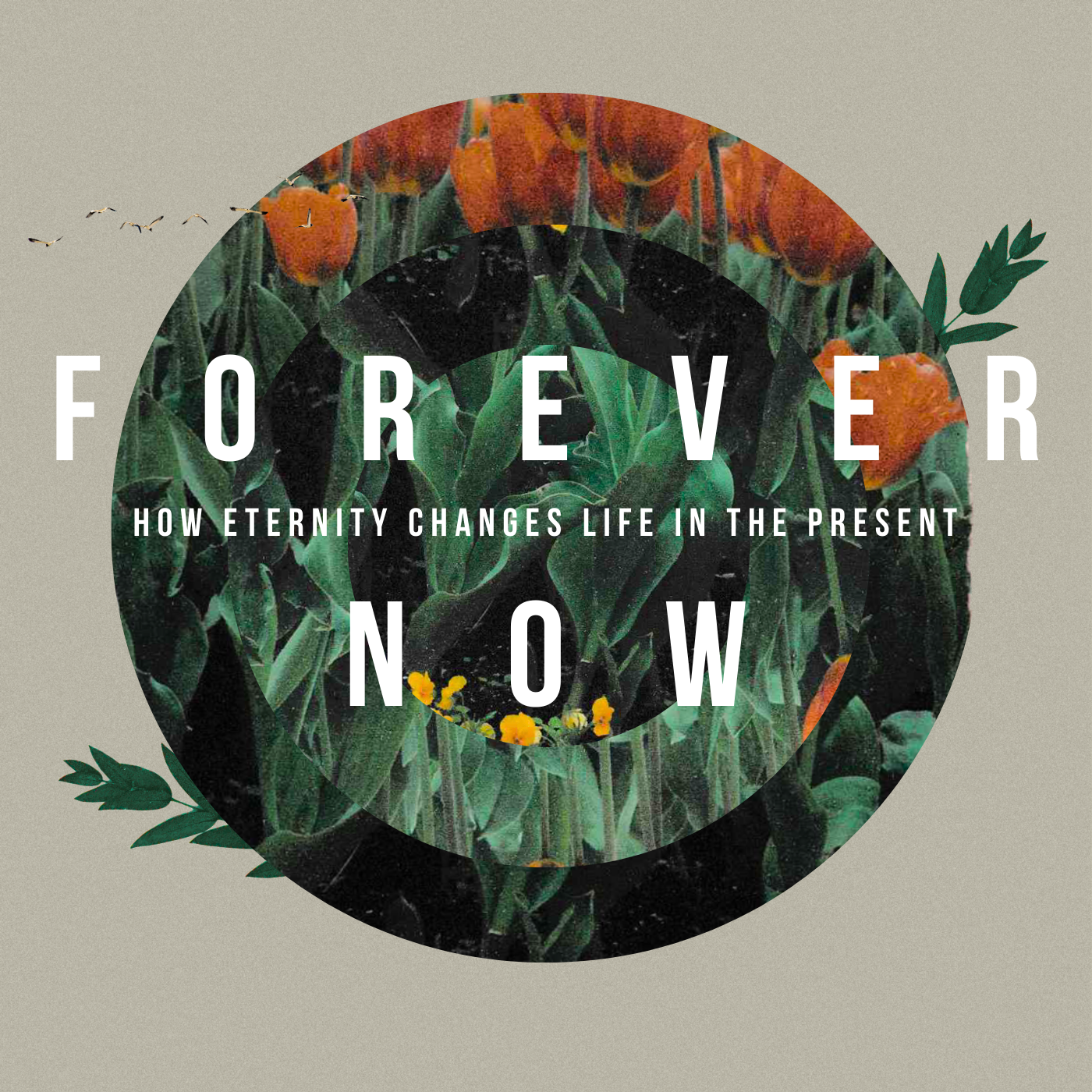 Forever Now // Longing for Forever episode artwork
