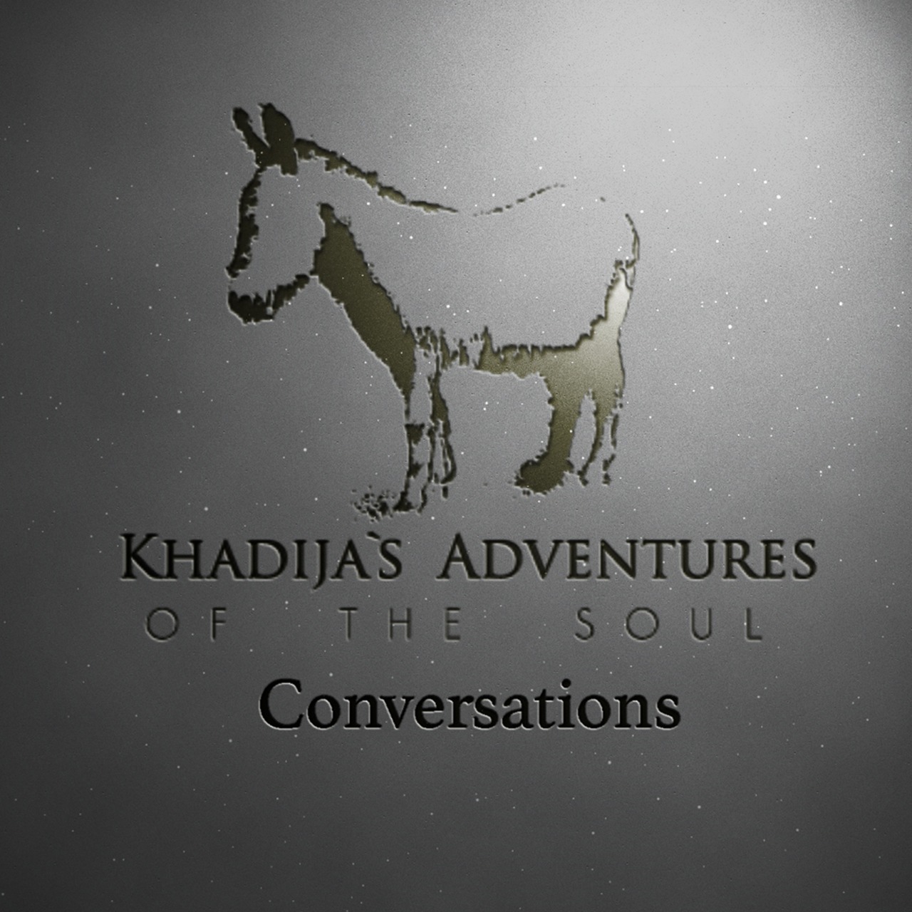 Adventures of the Soul Conversations