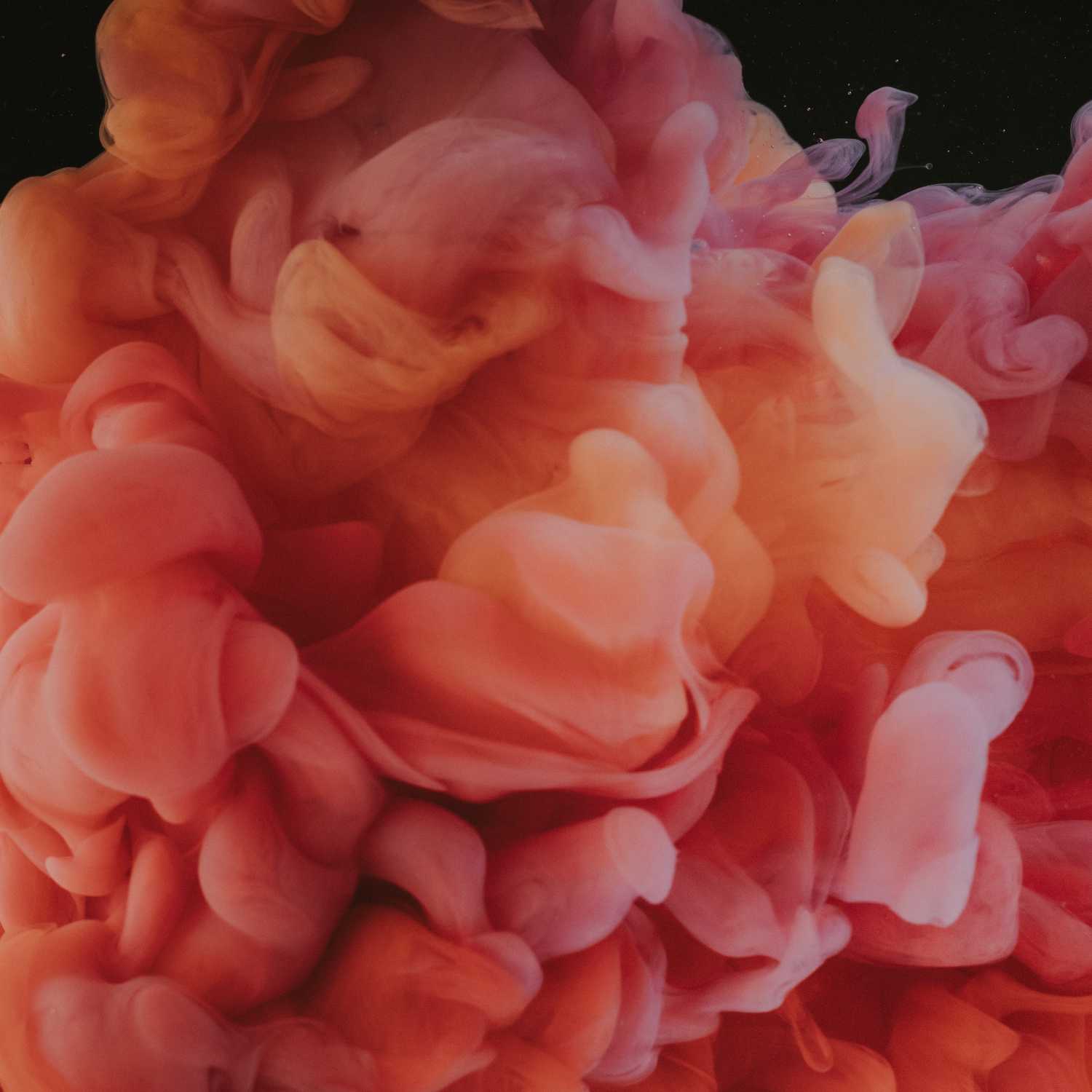 Thời gian không chữa lành tất cả cover art