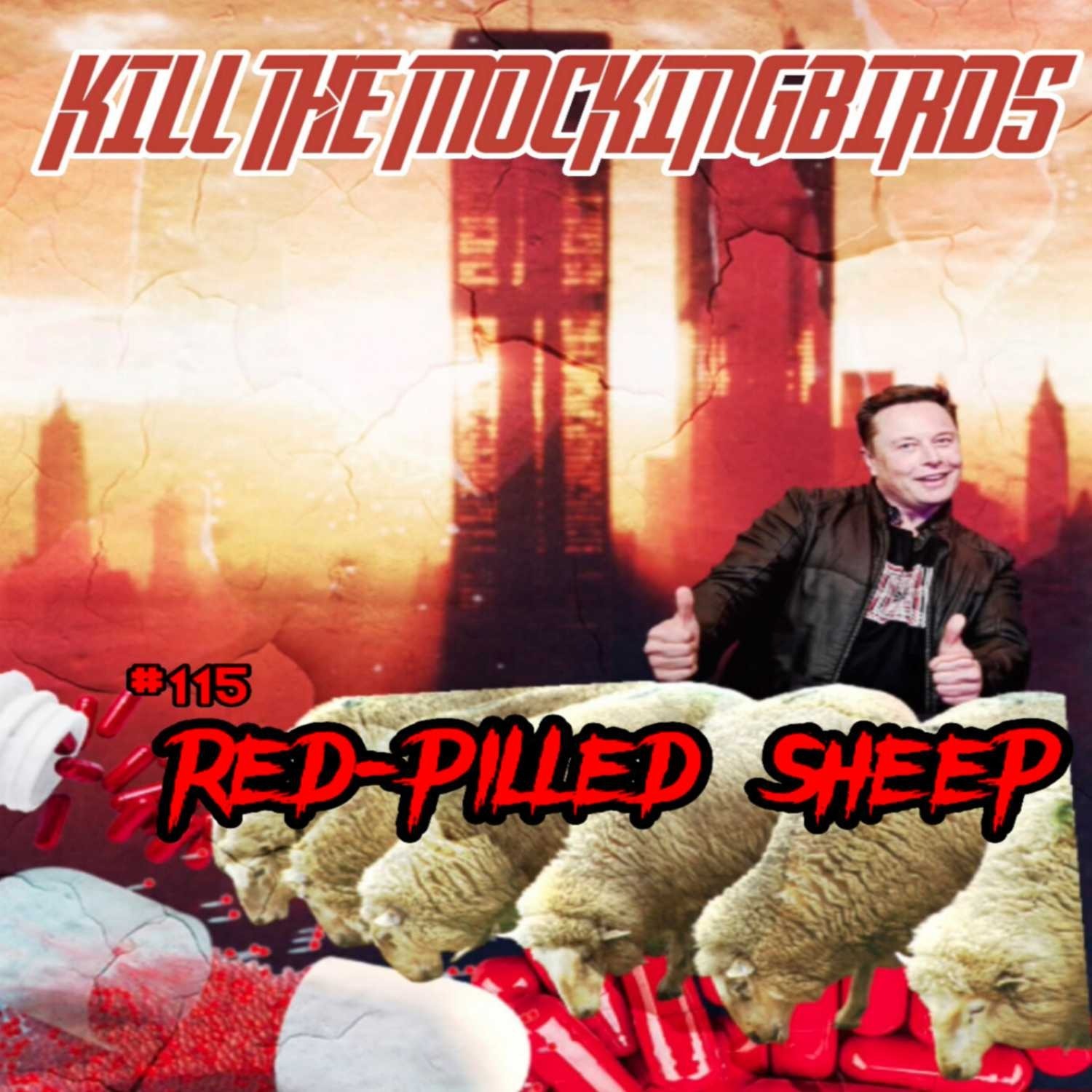 #115 “RED-PILLED SHEEP”