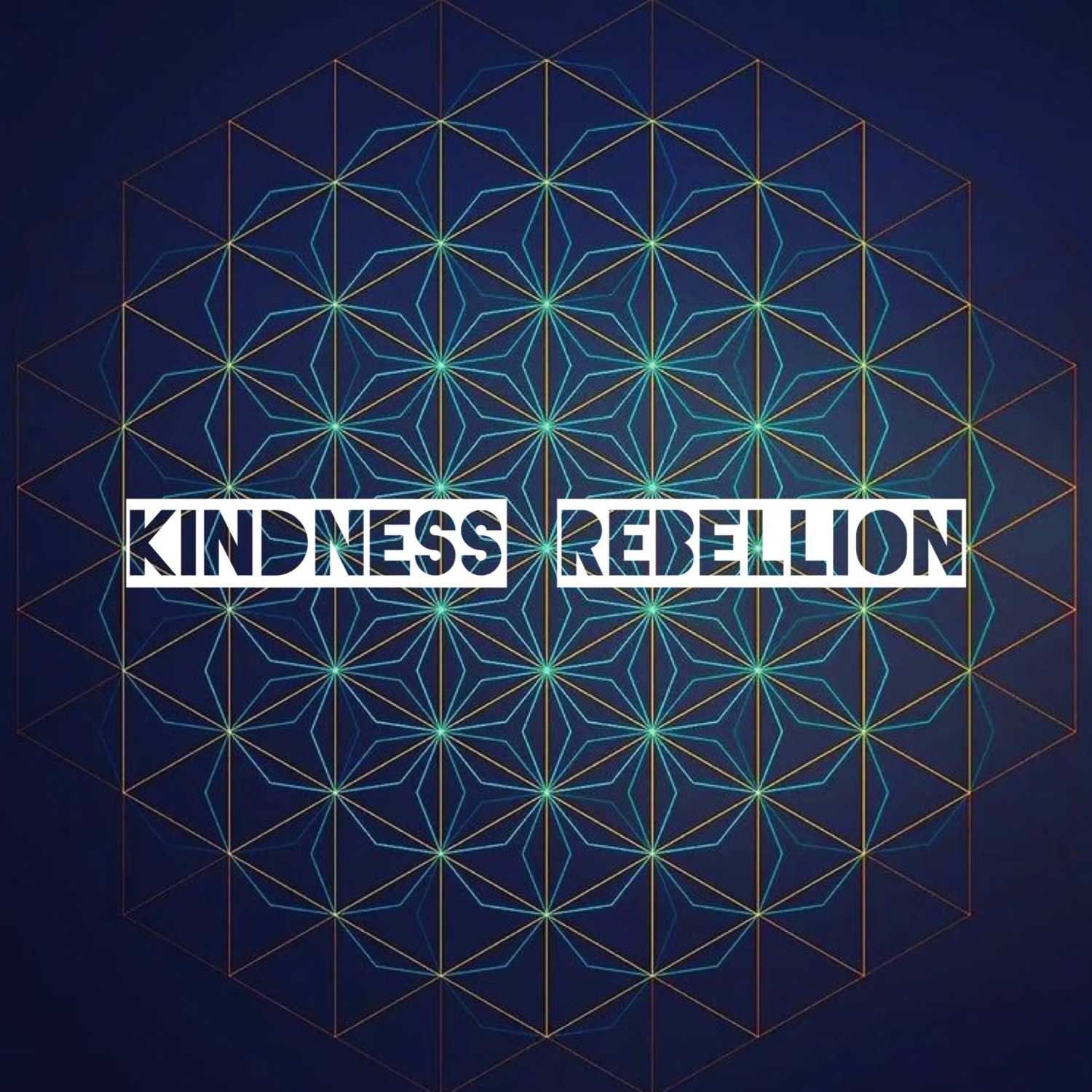 Kindness Rebellion