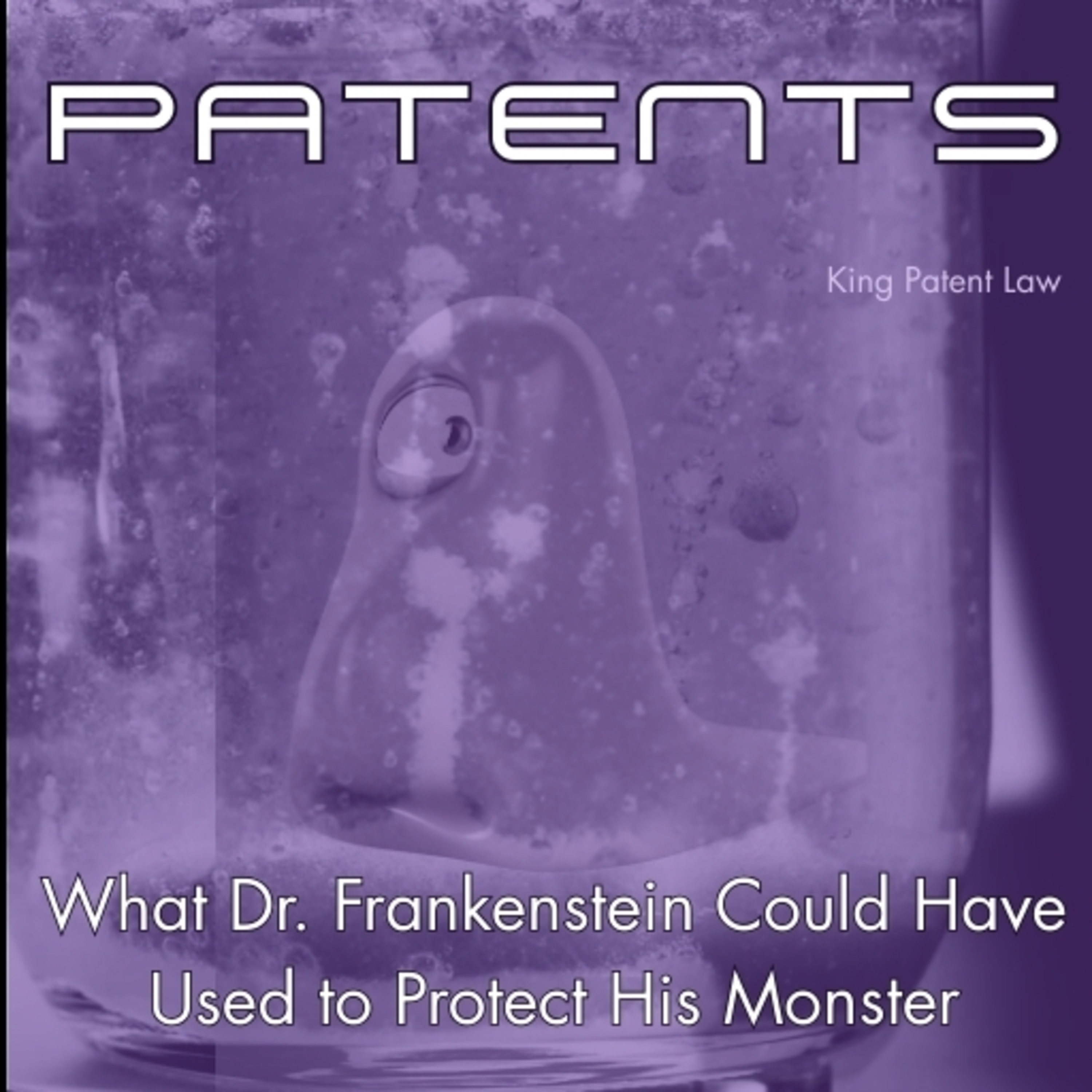 Know Your Rights: Your IP and Business Law Playbook