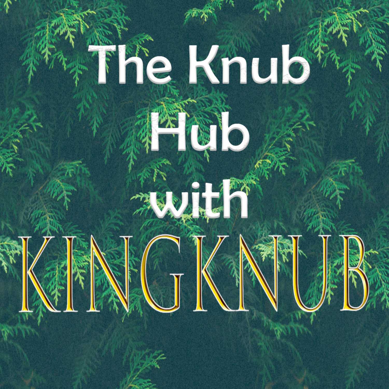 The Knub Hub