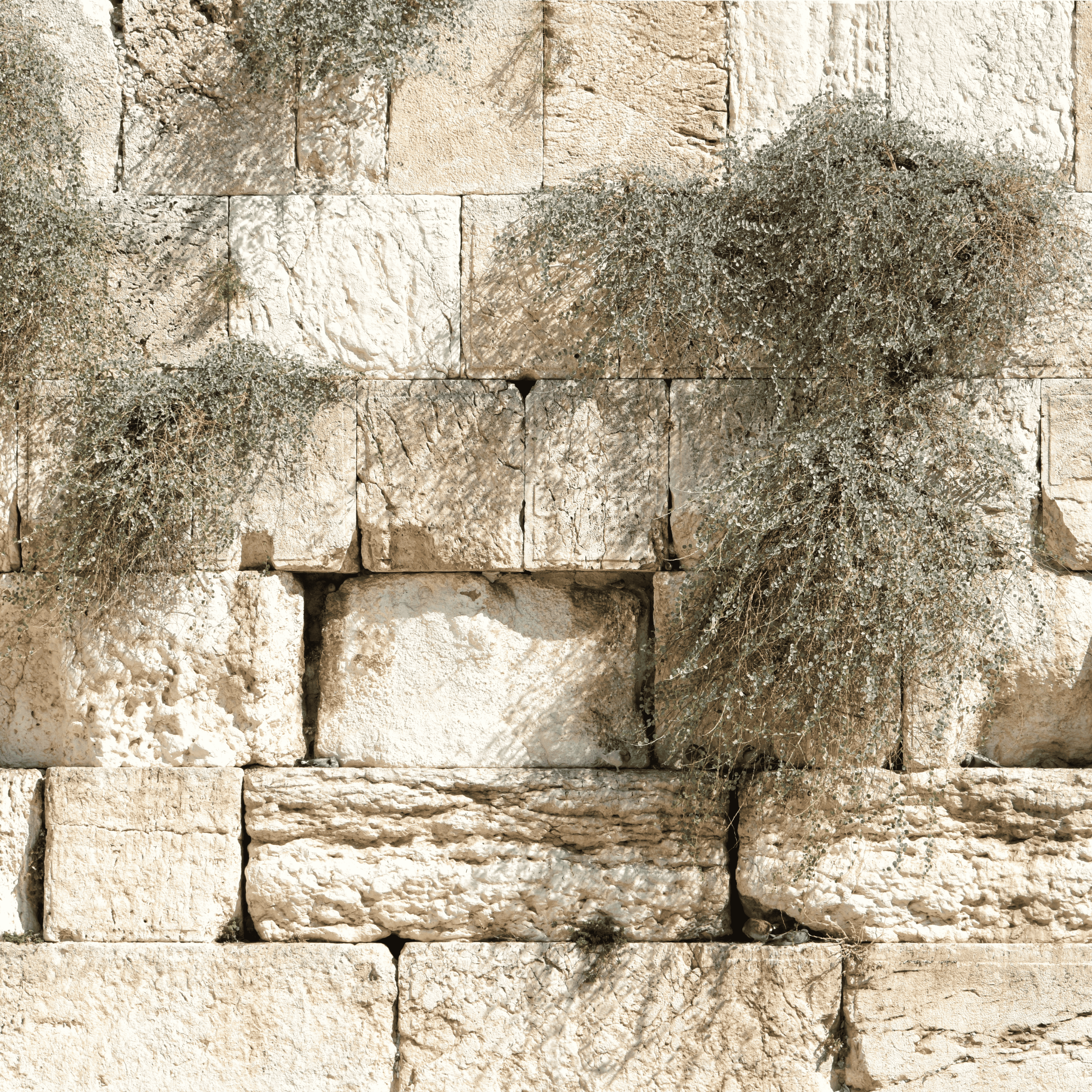 Nehemiah's Wall is Done But the Story Continues... What's the Deeper Purpose? episode artwork
