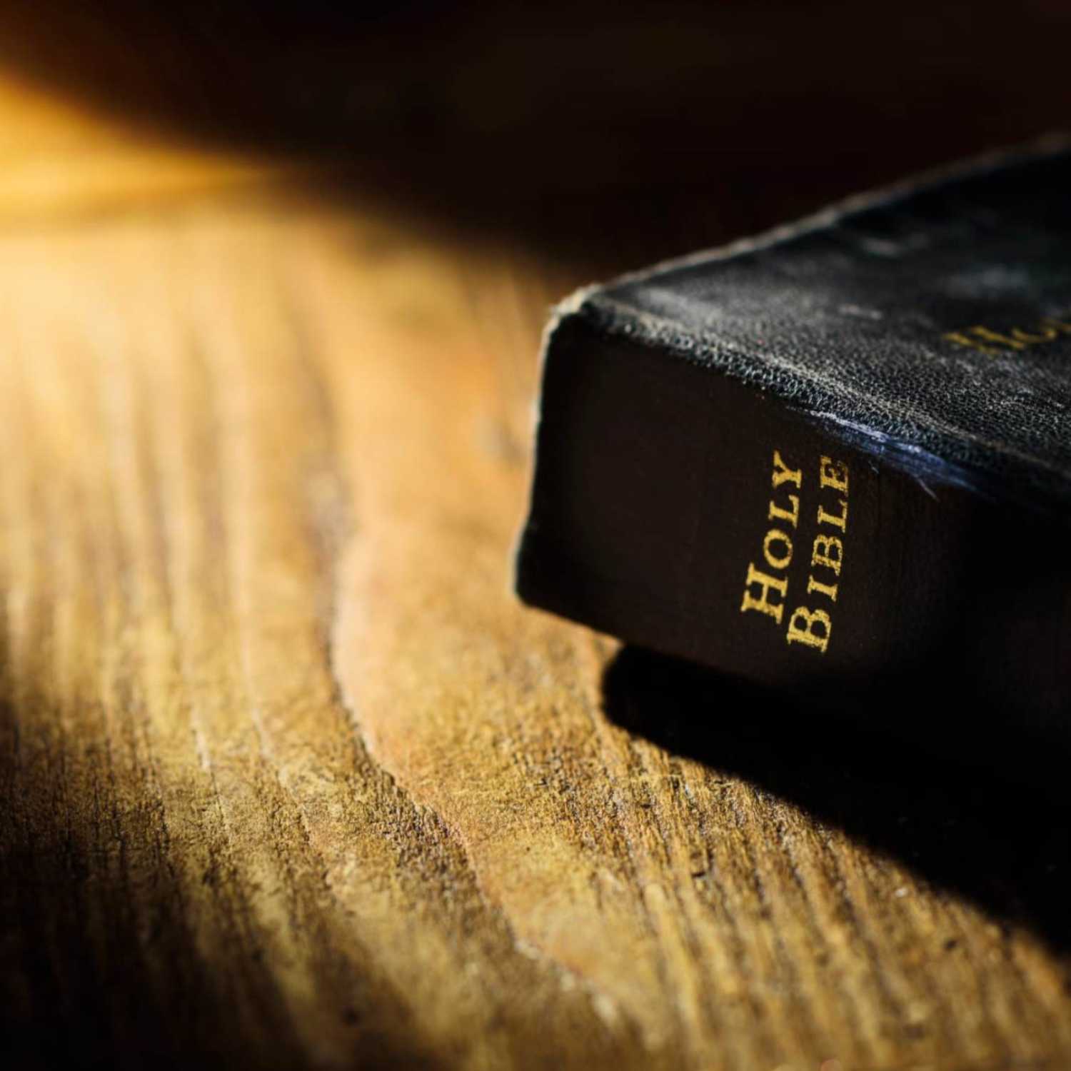 KJV Dramatized Bible Reading