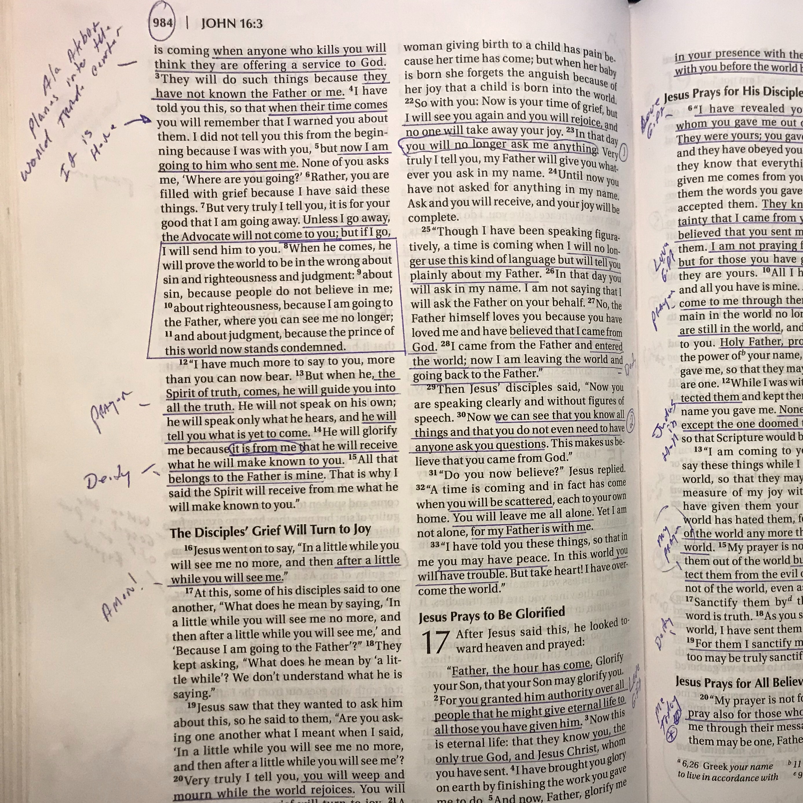 Know the Bible - What does the Bible say