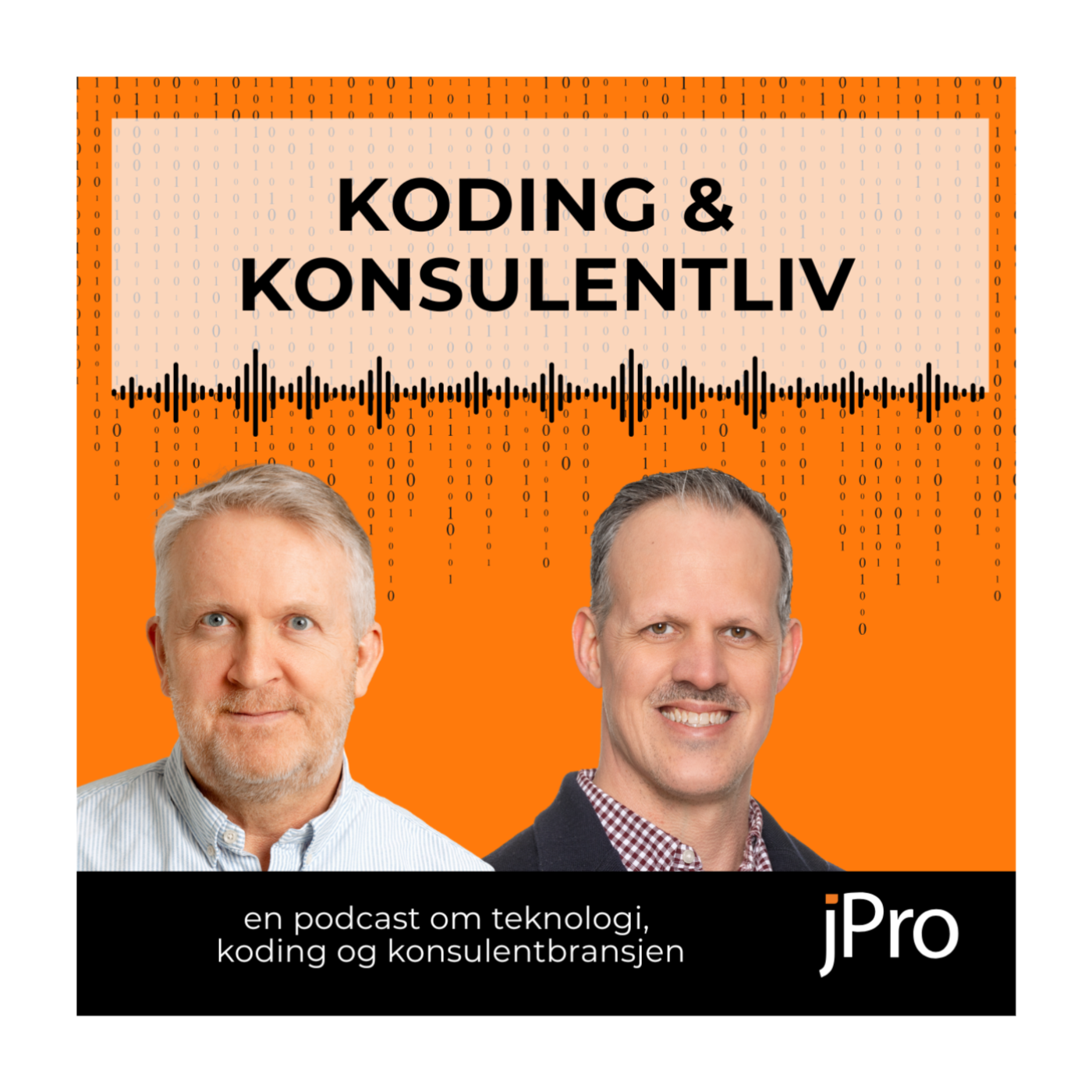 Koding & konsulentliv