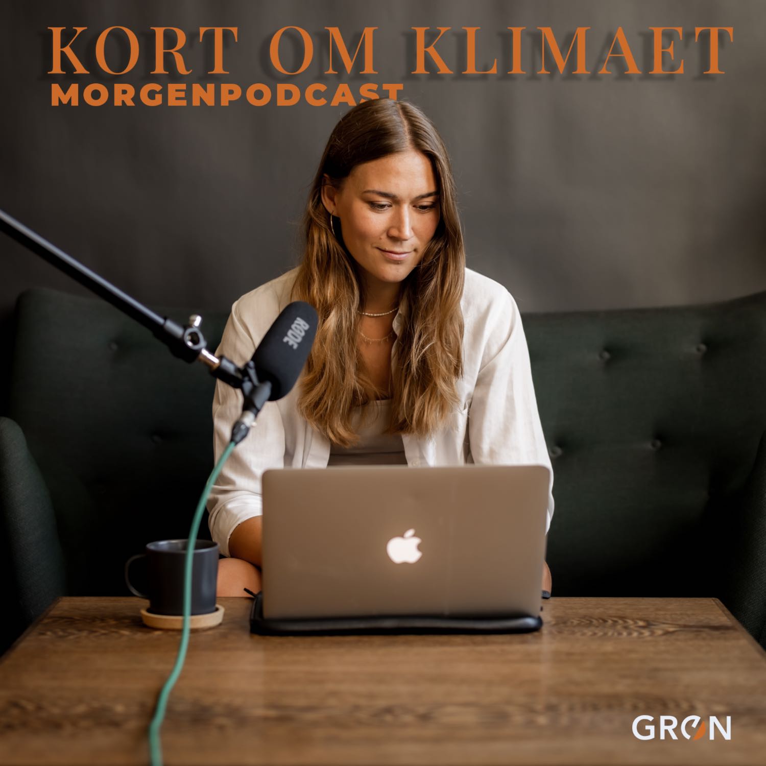 11. oktober: H.C. Ørstedsværket på el, gasflaskehalse og genbrugte byggematerialer episode artwork