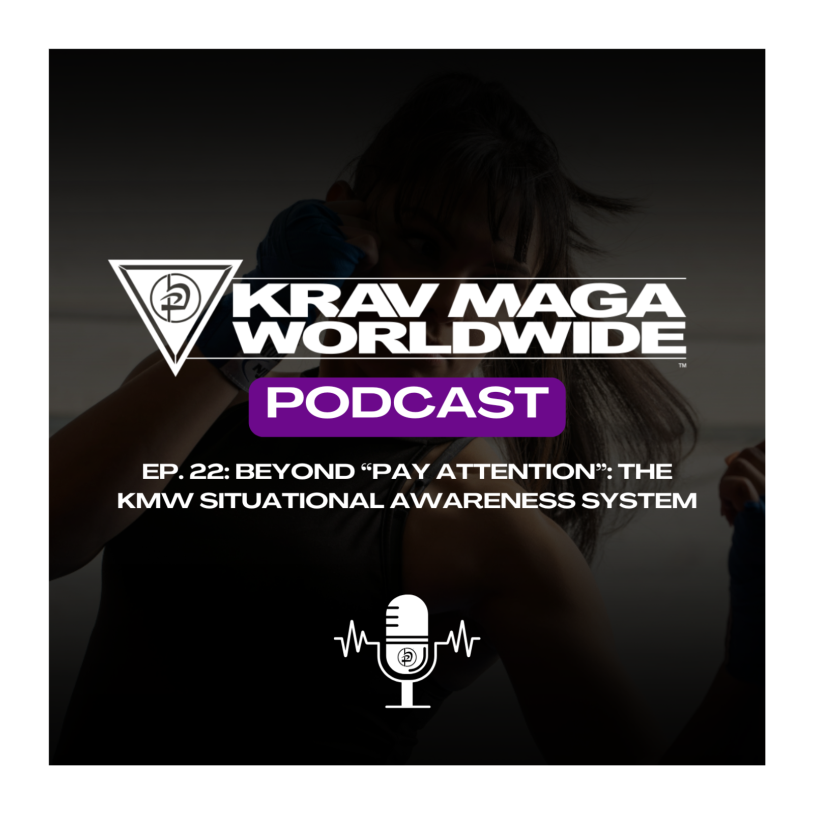 22. Beyond "Pay Attention": The KMW Situational Awareness System episode artwork