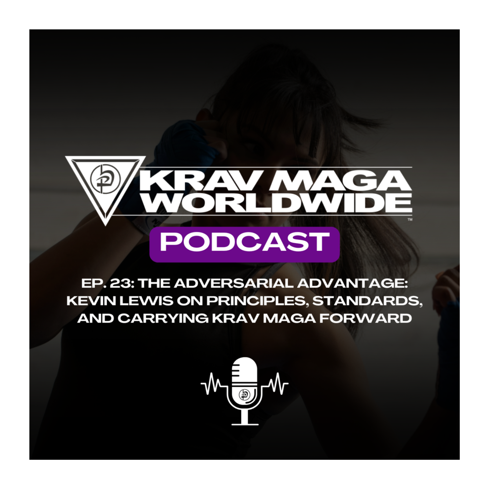 23. The Adversarial Advantage: Kevin Lewis on Principles, Standards, and Carrying Krav Maga Forward episode artwork