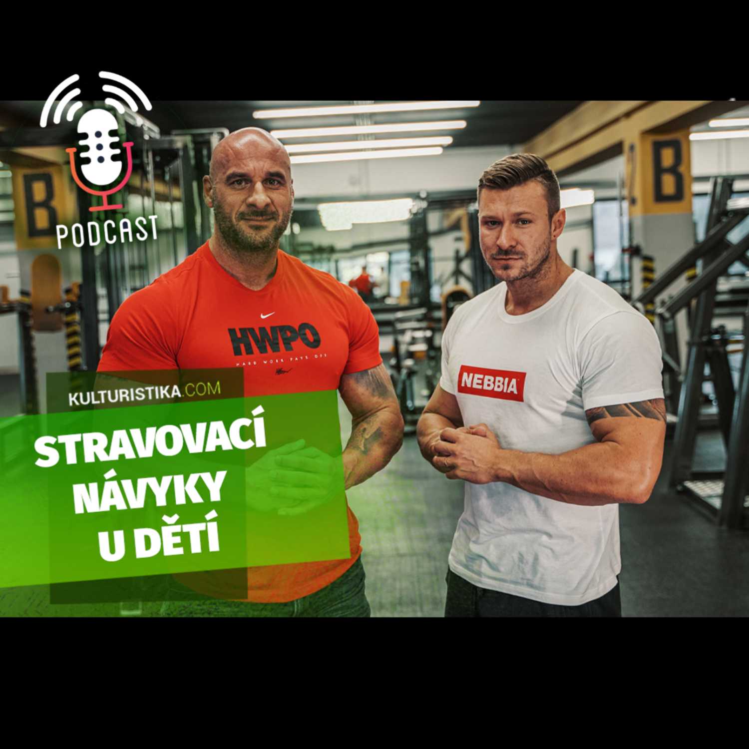 KULTURISTIKA.COM