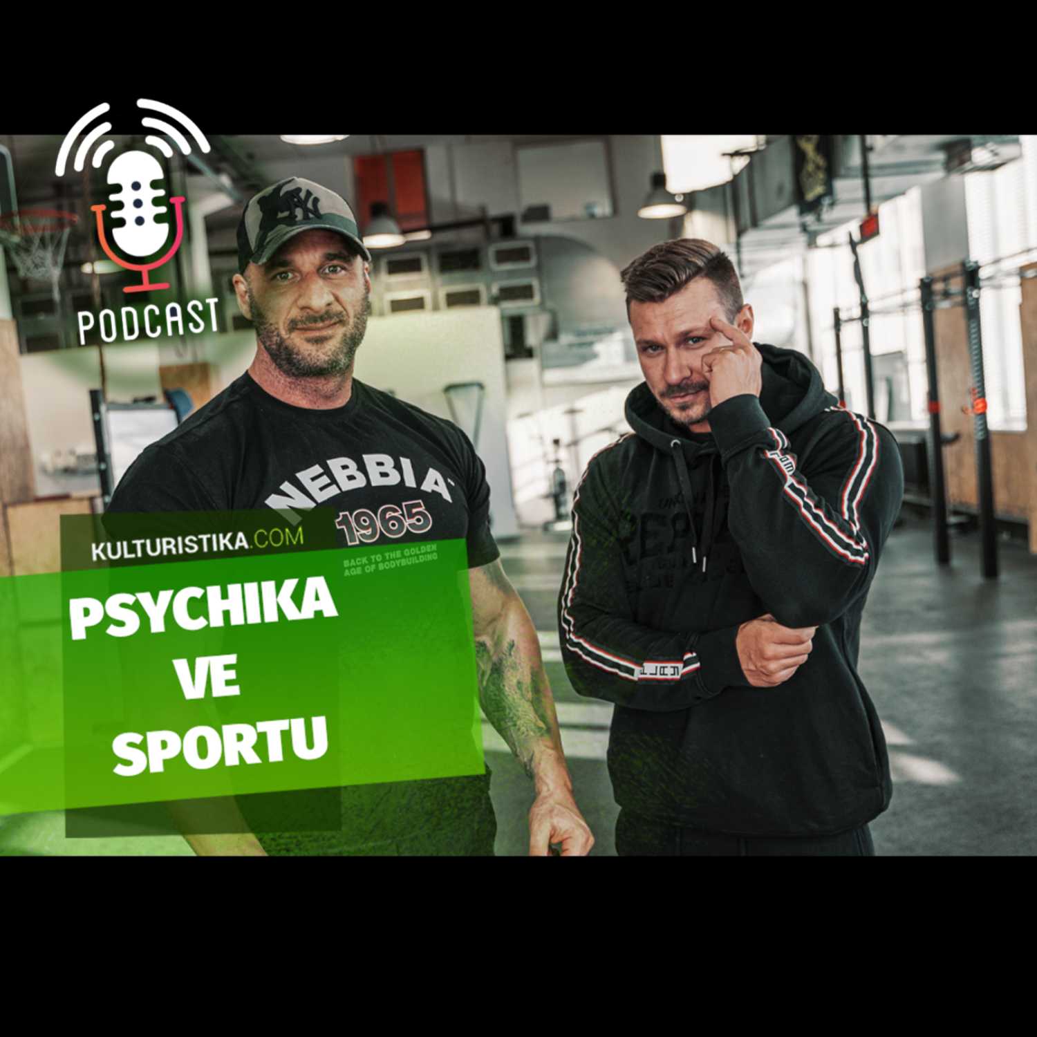 KULTURISTIKA.COM