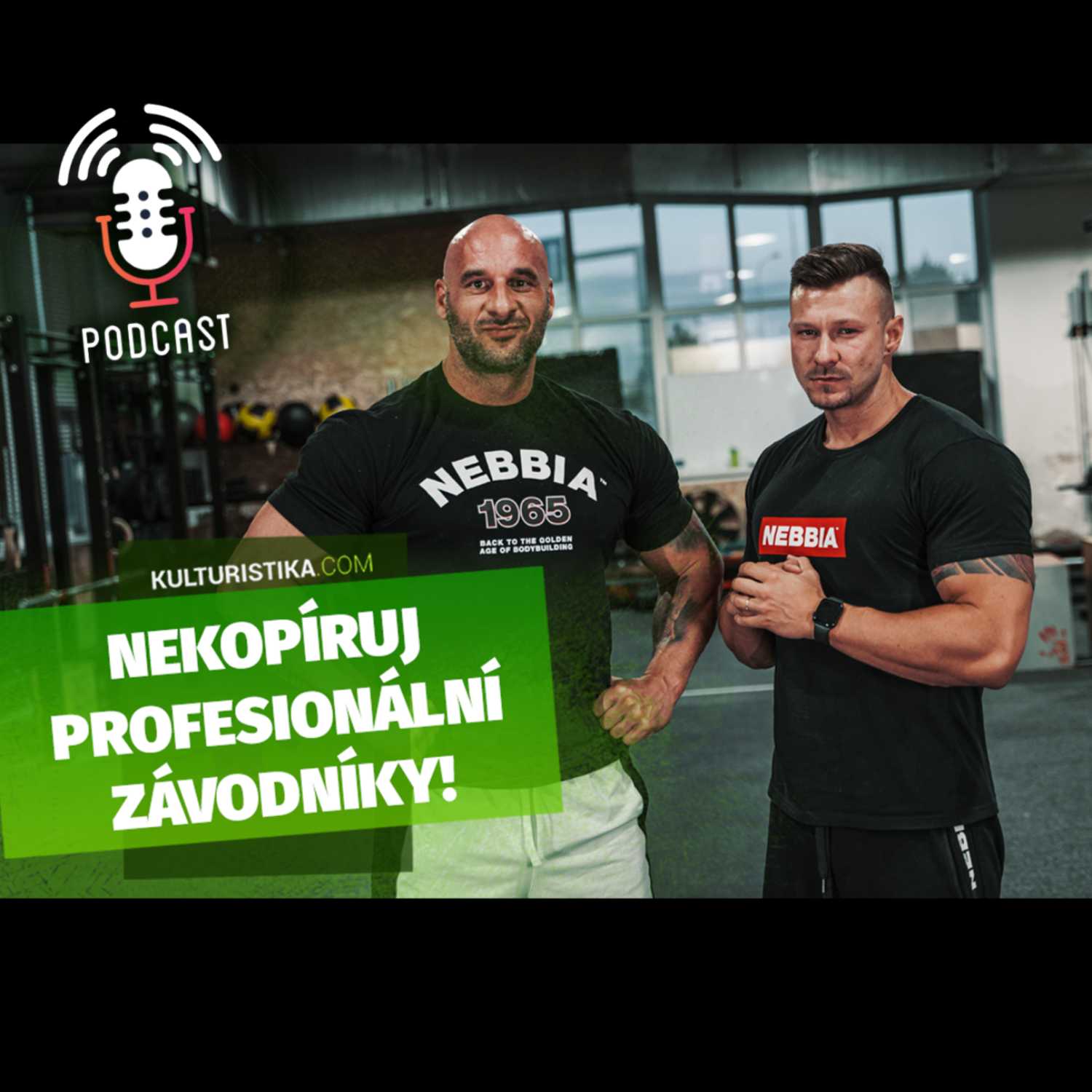 KULTURISTIKA.COM