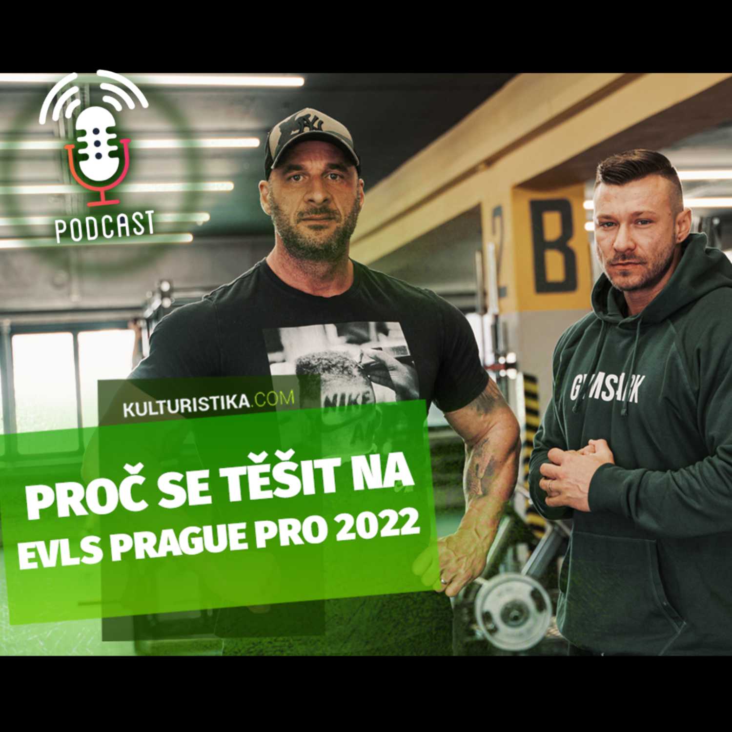 KULTURISTIKA.COM