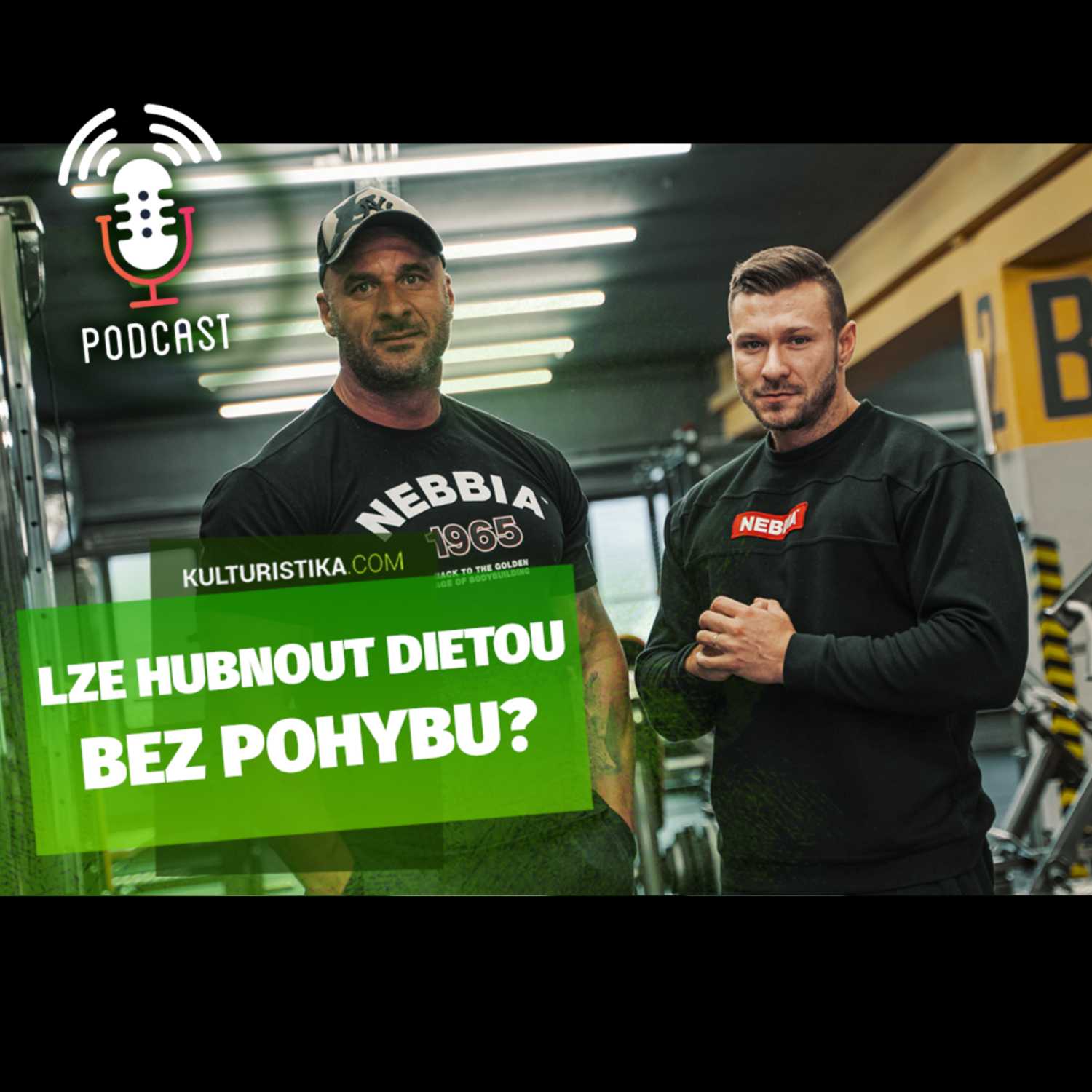 KULTURISTIKA.COM