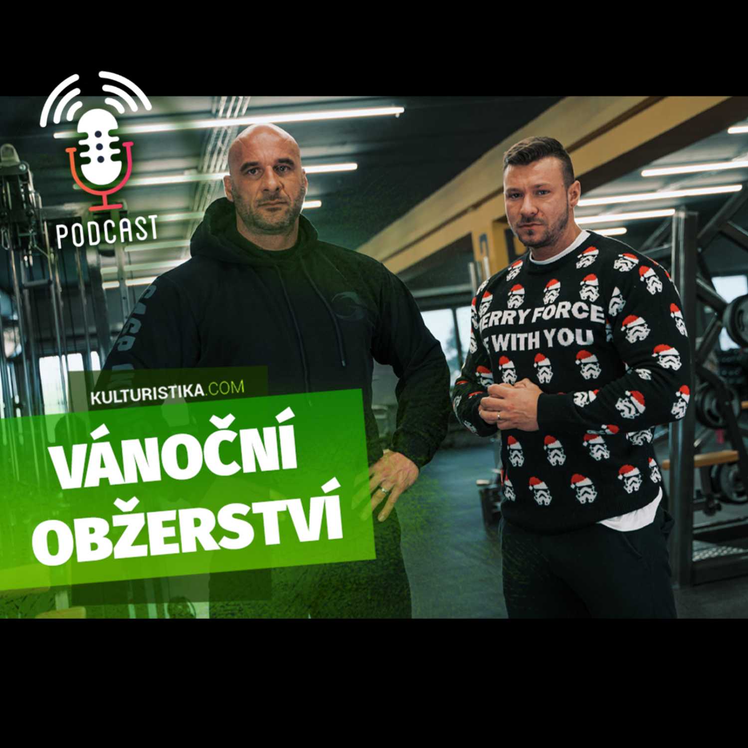 KULTURISTIKA.COM