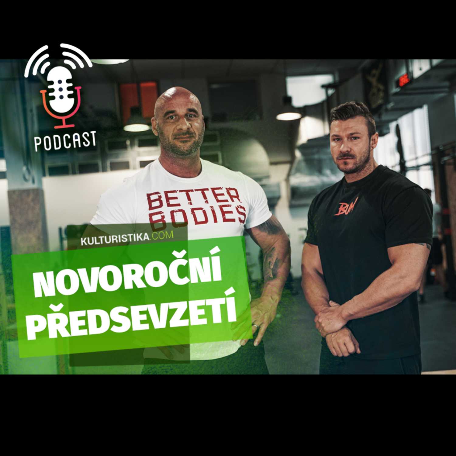 KULTURISTIKA.COM