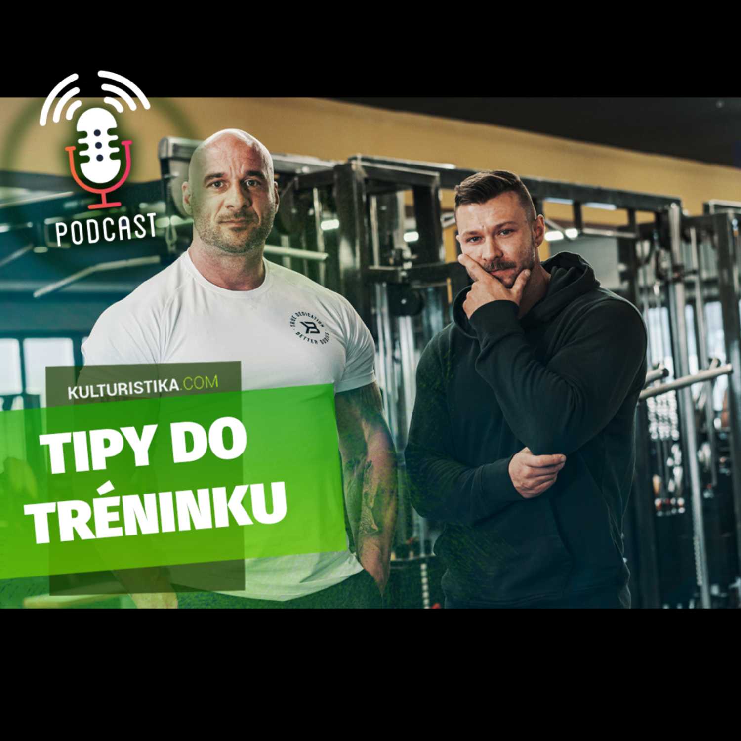 KULTURISTIKA.COM