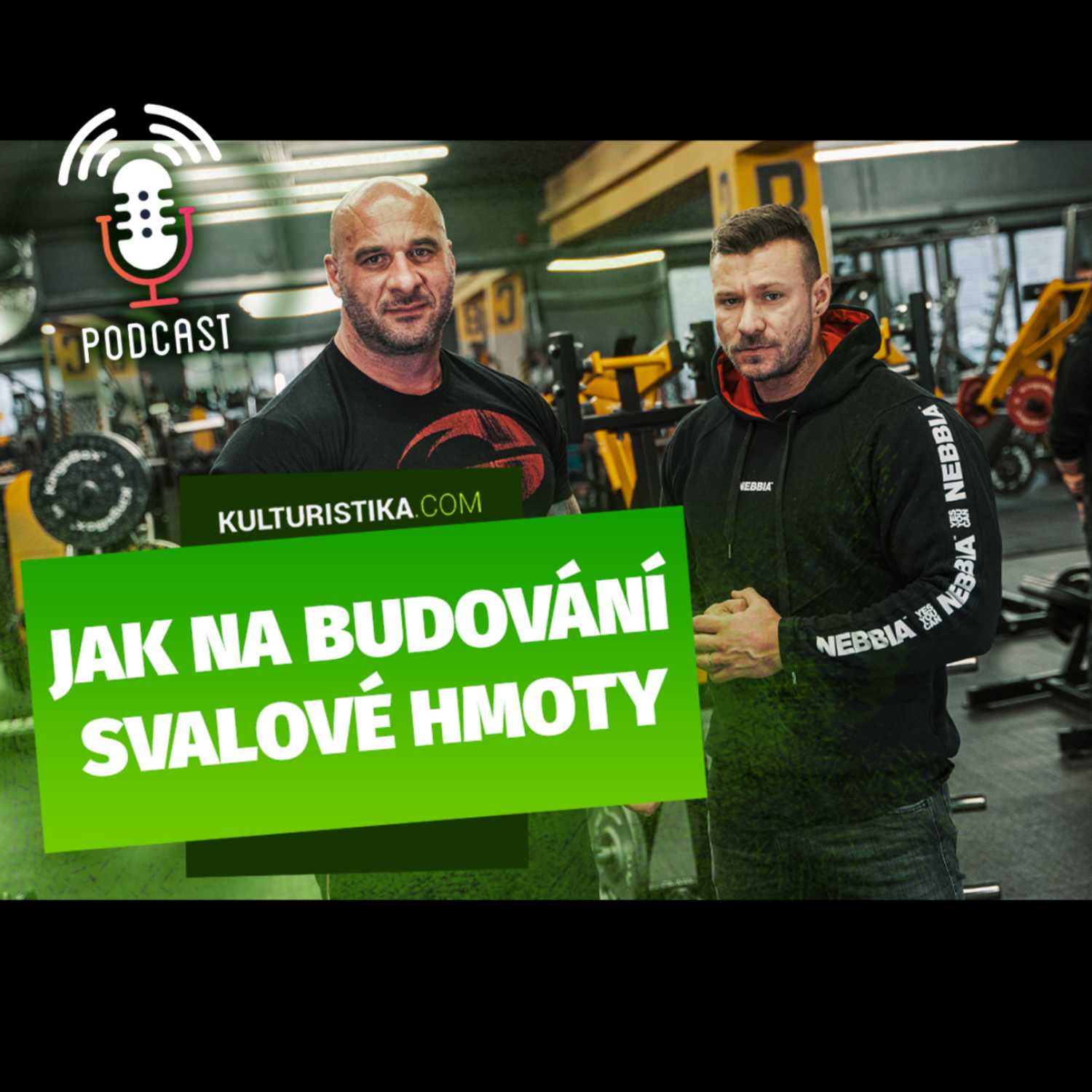 KULTURISTIKA.COM