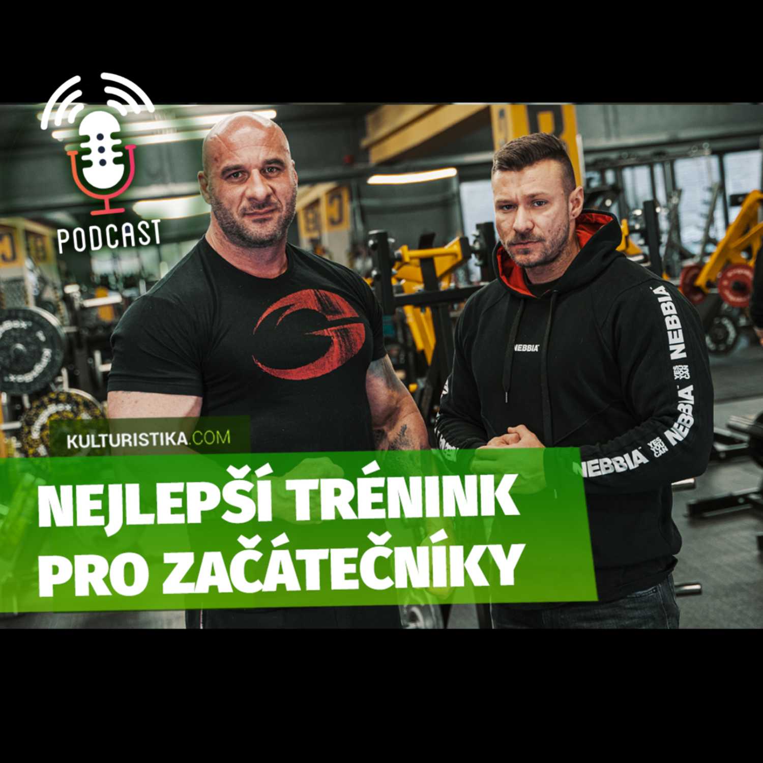 KULTURISTIKA.COM