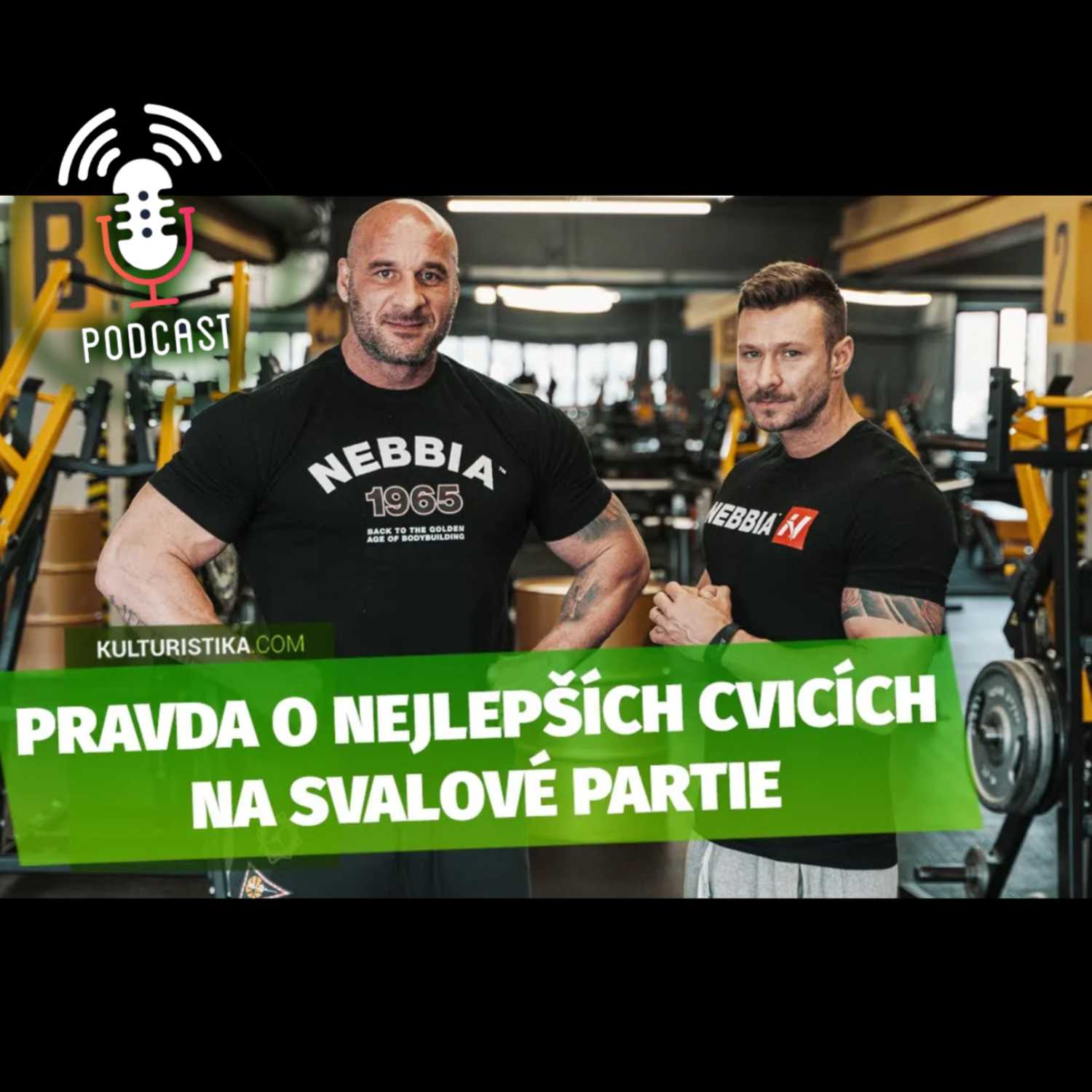 KULTURISTIKA.COM