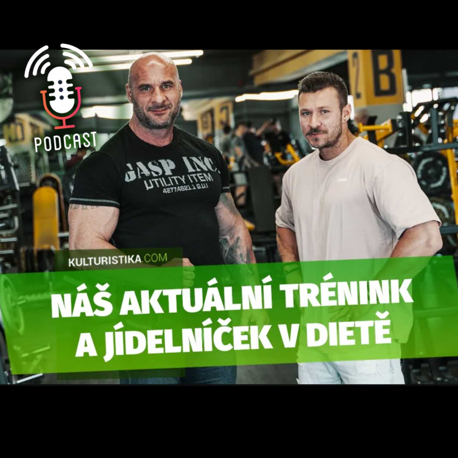 KULTURISTIKA.COM