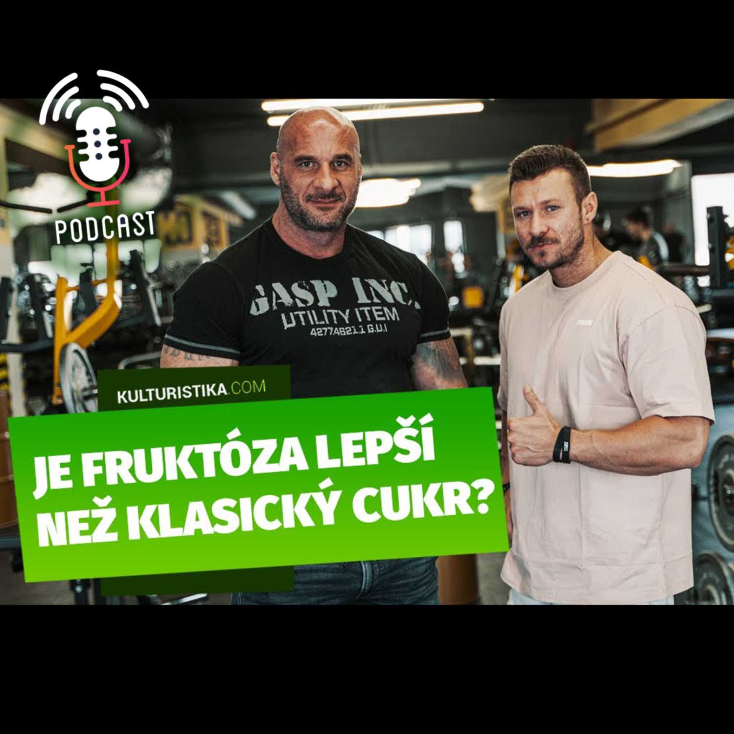 KULTURISTIKA.COM