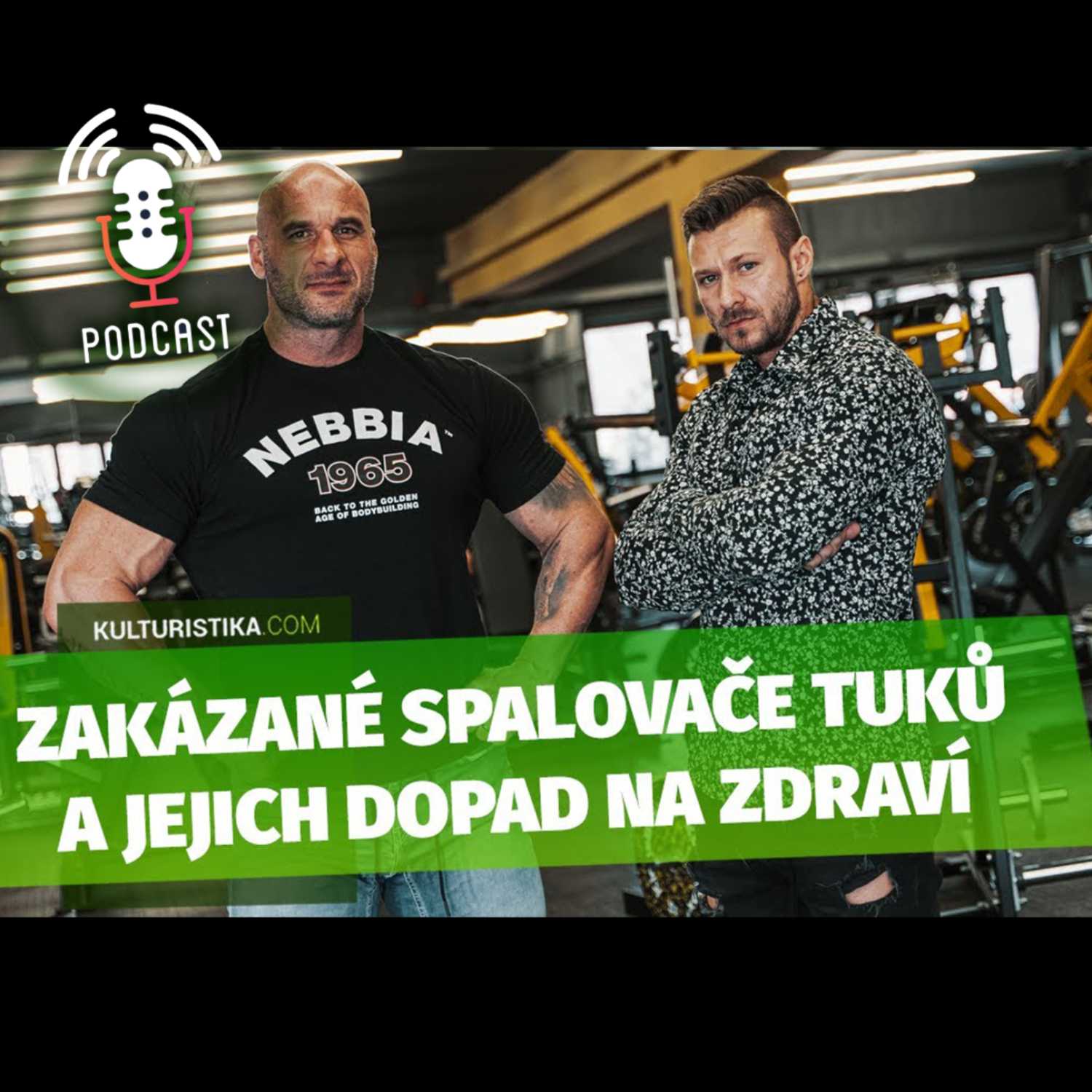 KULTURISTIKA.COM