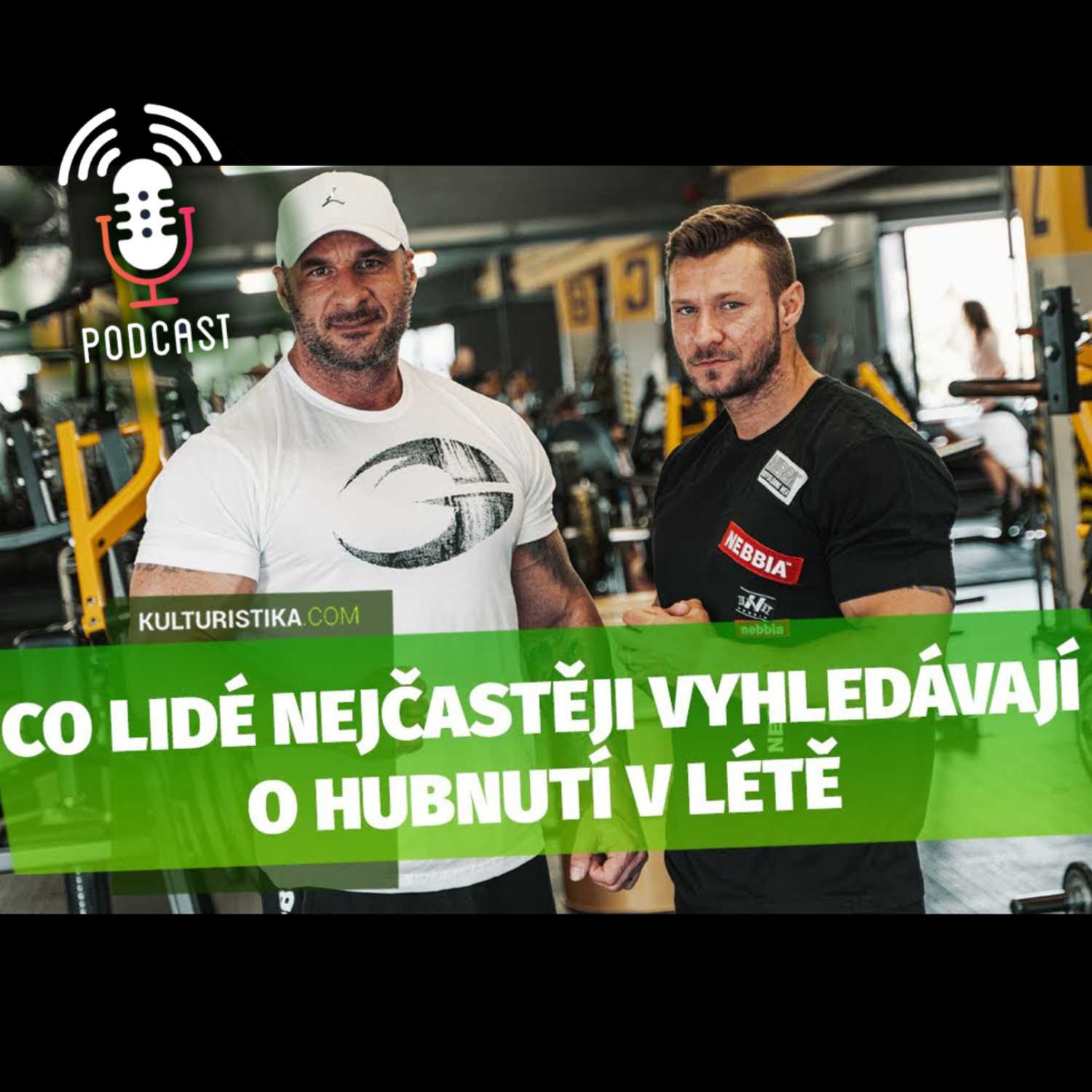 KULTURISTIKA.COM