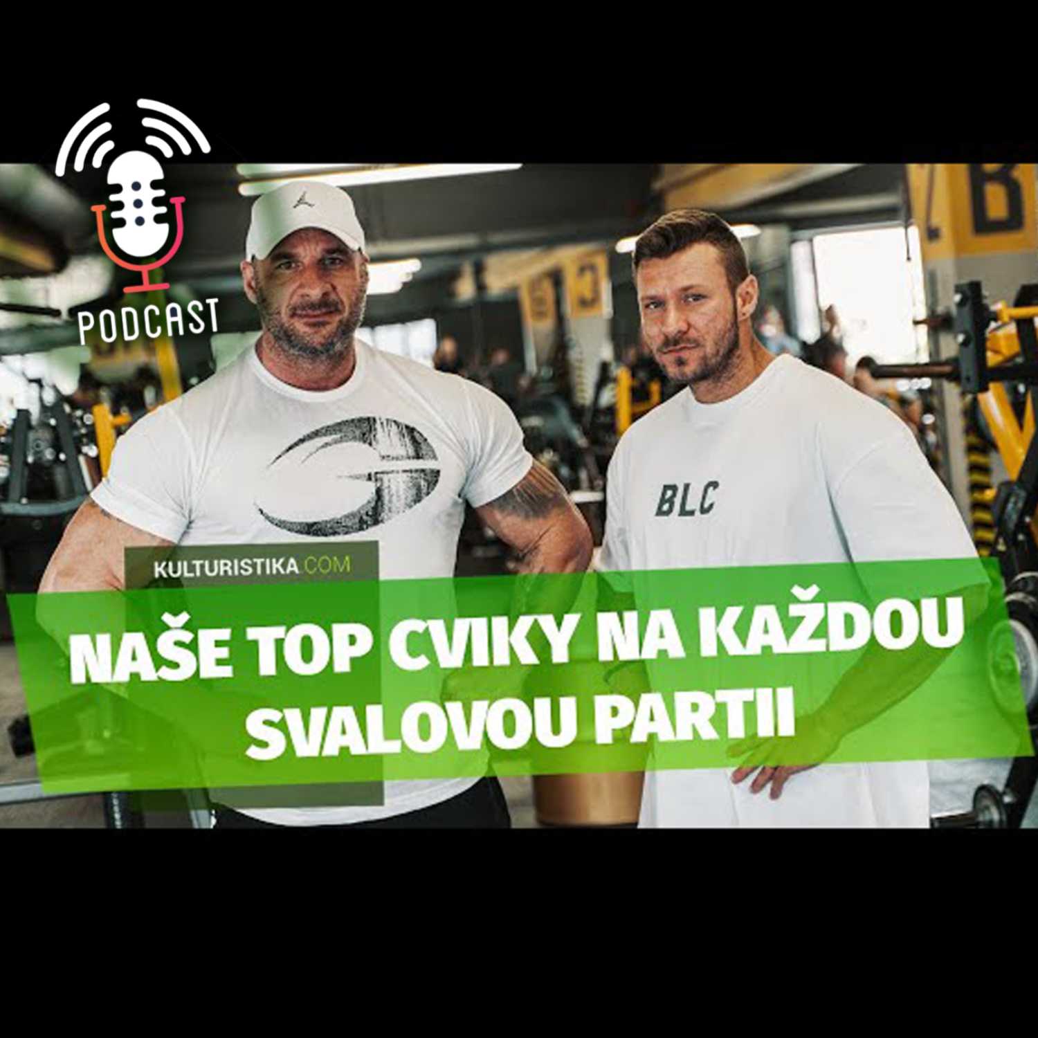 KULTURISTIKA.COM