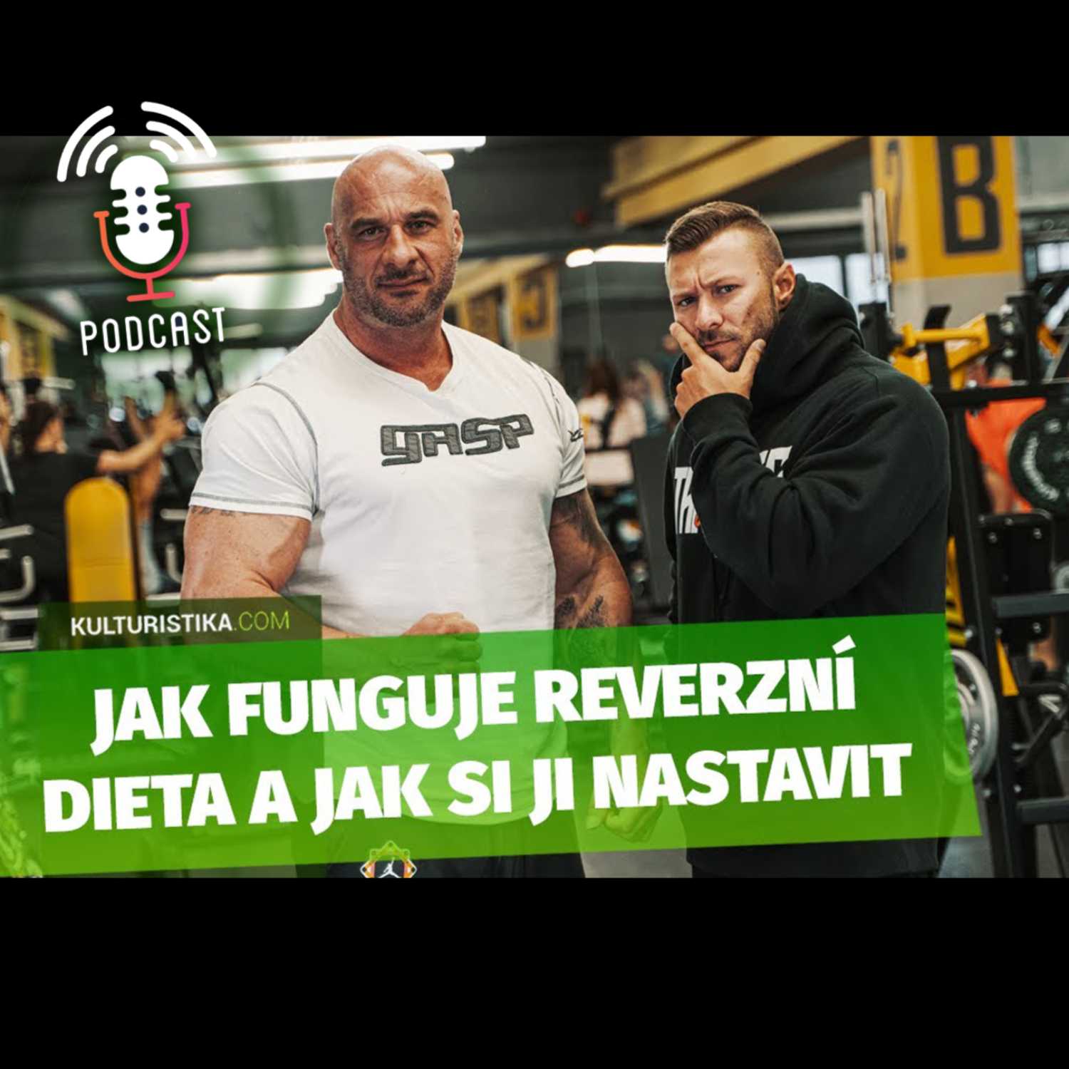 KULTURISTIKA.COM