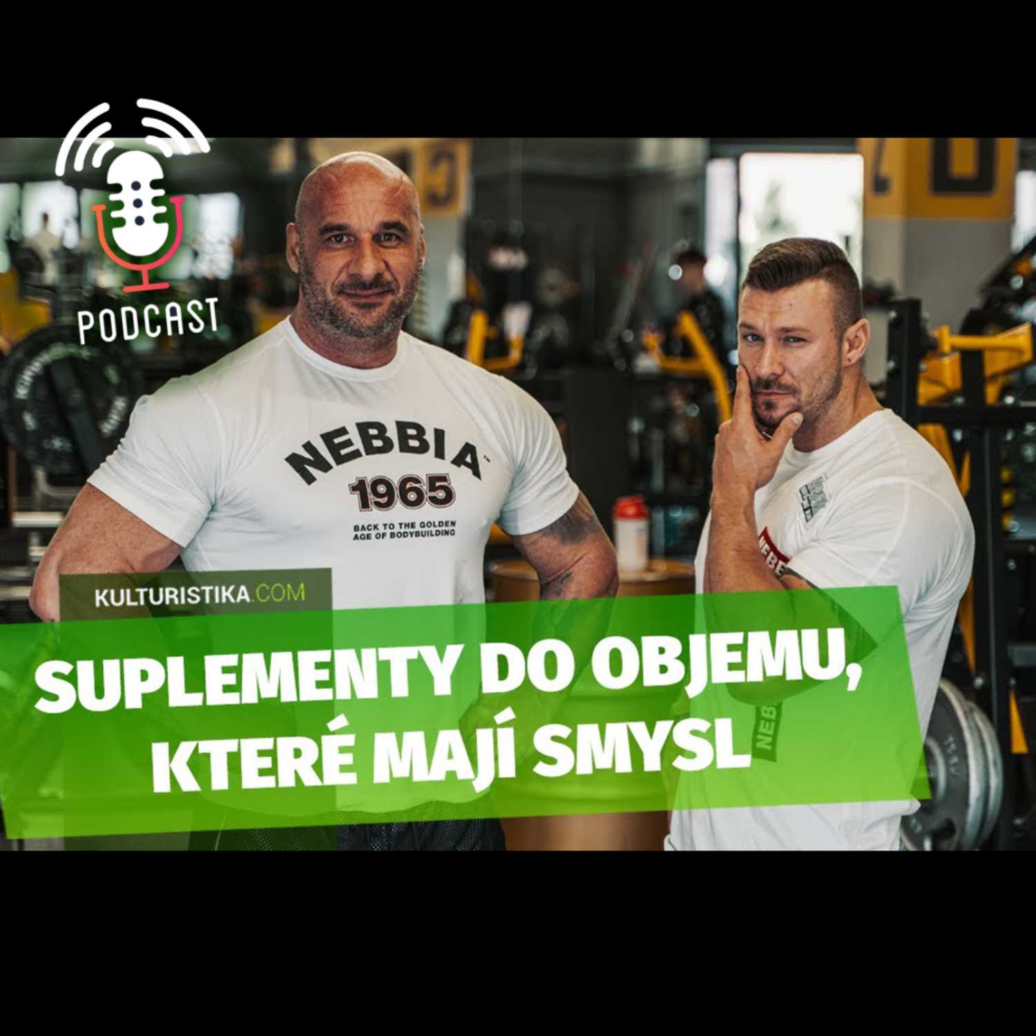 KULTURISTIKA.COM