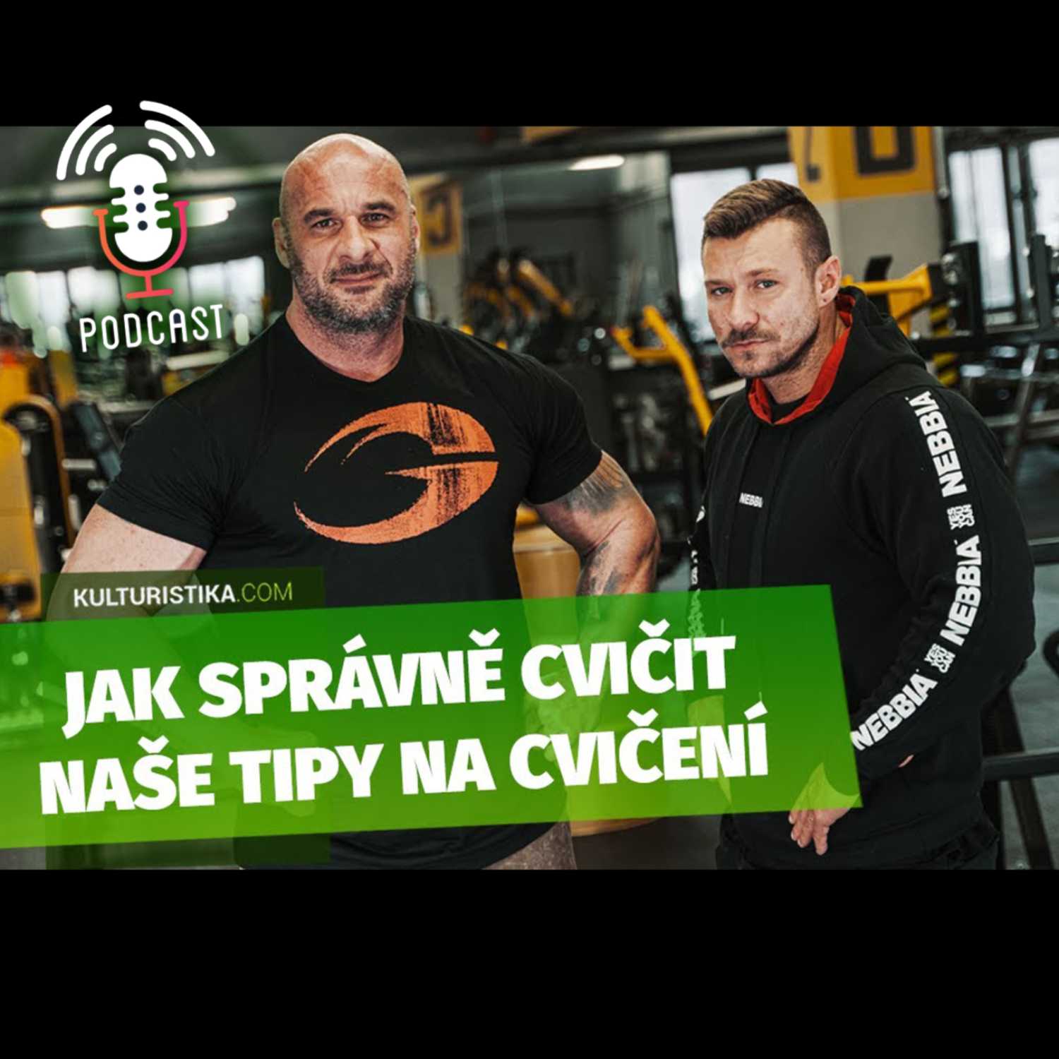 KULTURISTIKA.COM