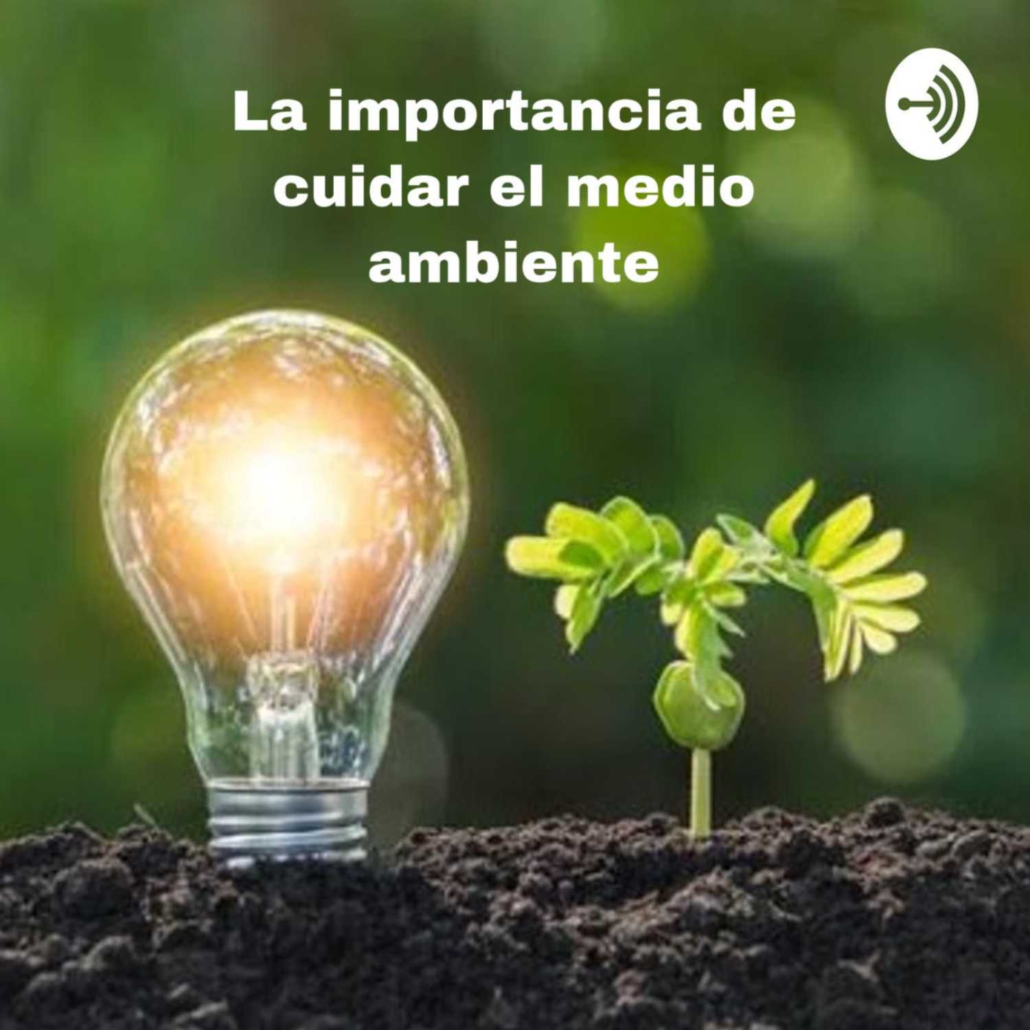 La importancia de cuidar el medio ambiente