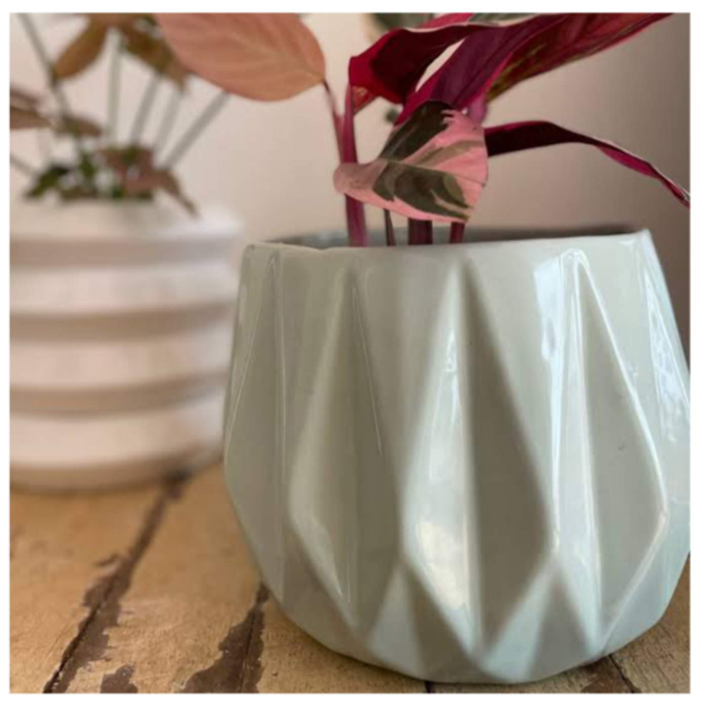 La vida de nos vuelve un caos en segundos