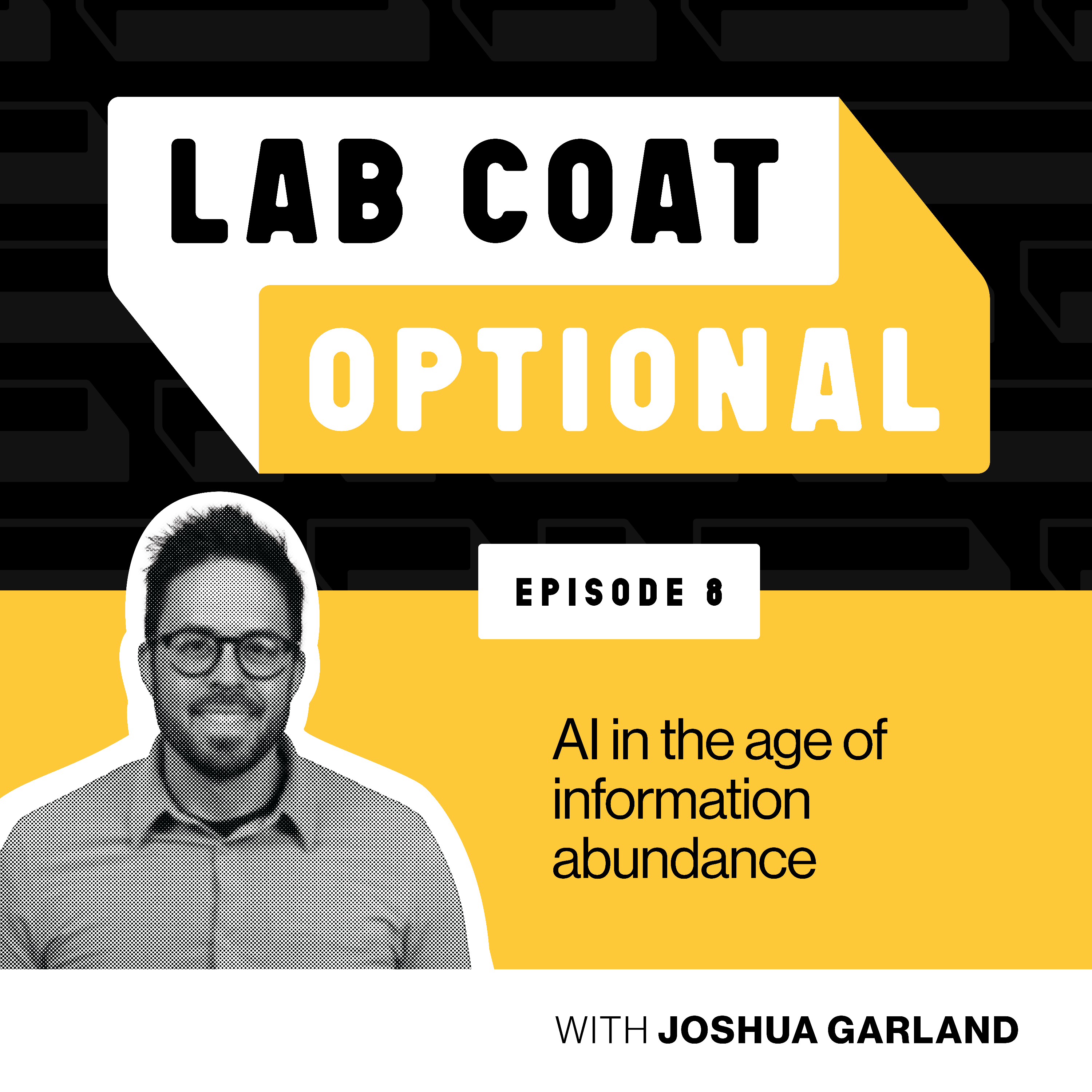 AI in the age of information abundance with Joshua Garland