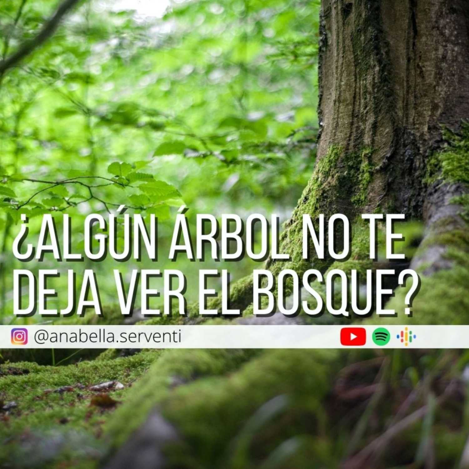 Laberinto de espejos por Anabella Serventi