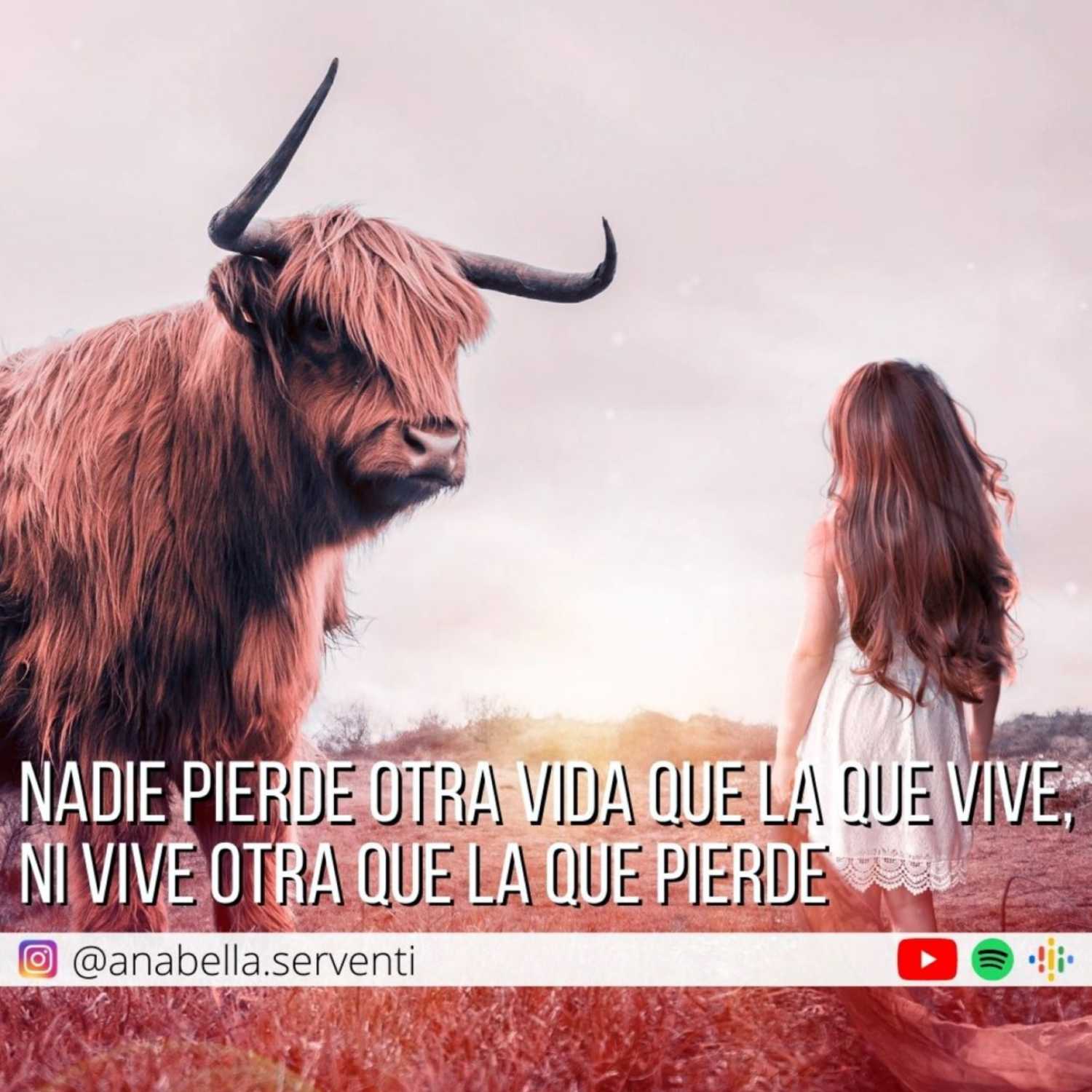 Laberinto de espejos por Anabella Serventi
