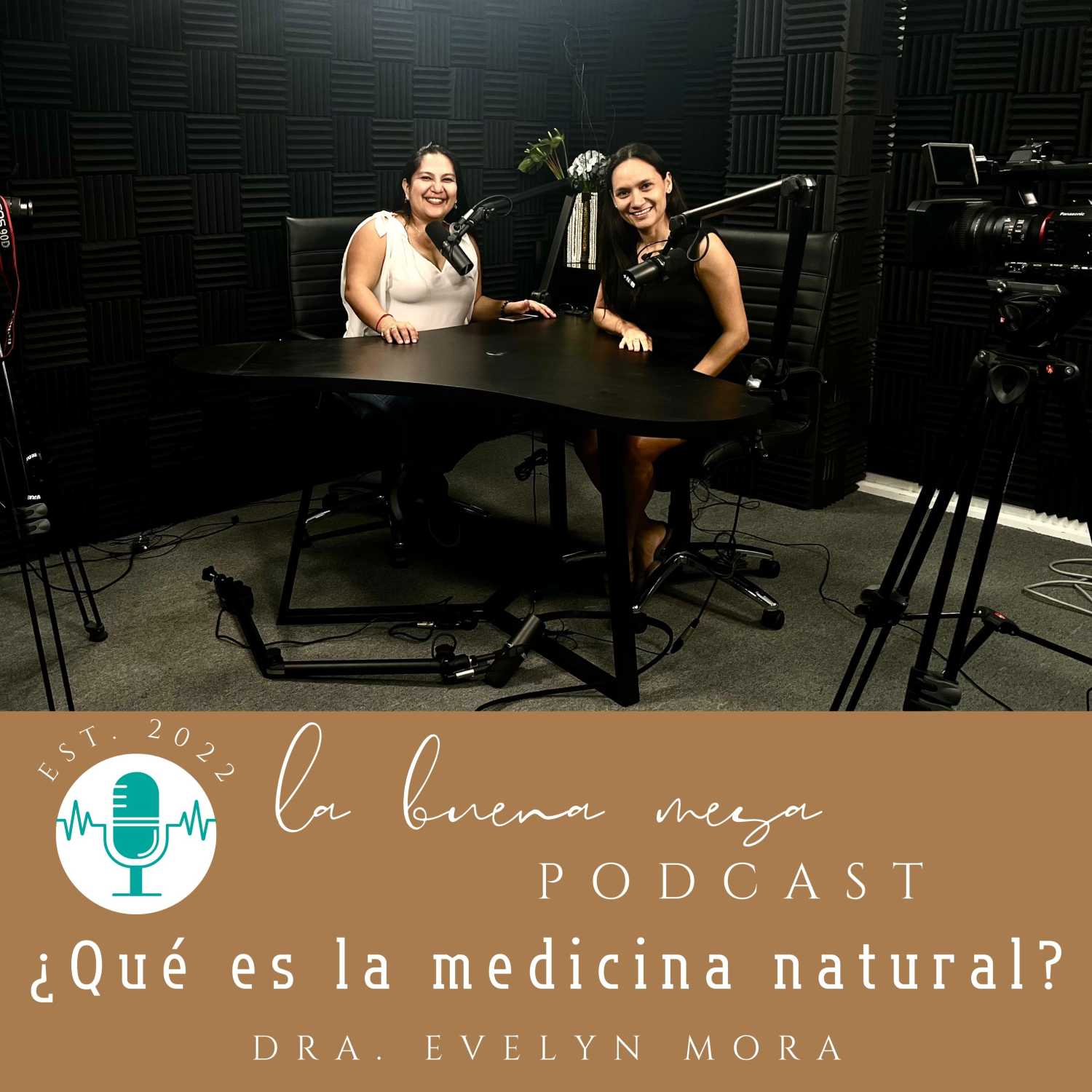 ¿Qué es la medicina natural?