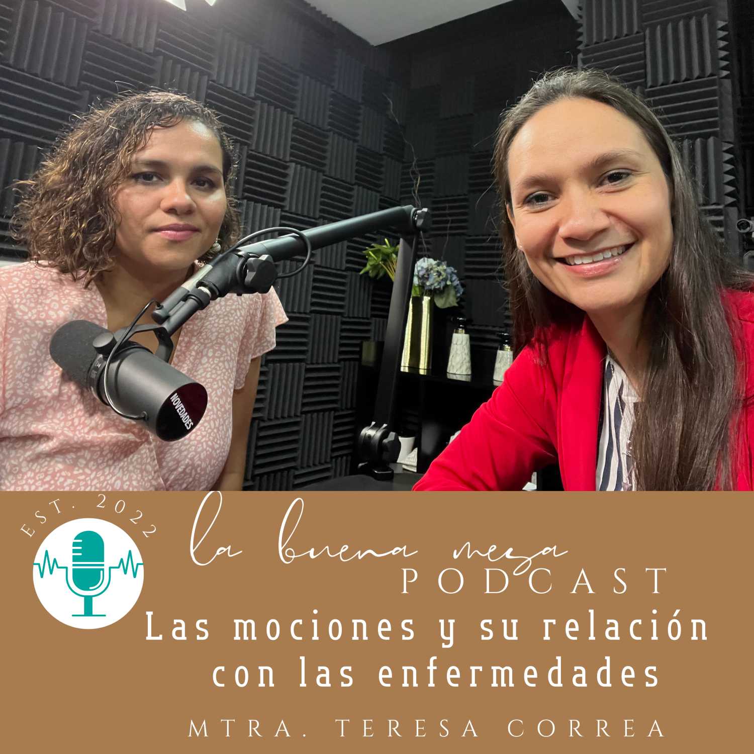 Las emociones y su relación con las enfermedades