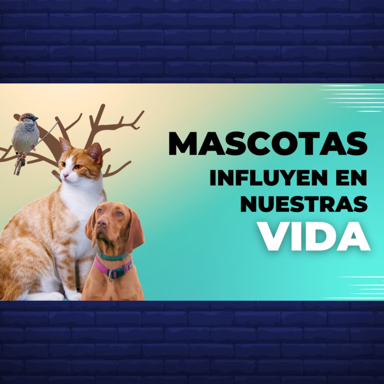 La Descarga Al Cuadrado