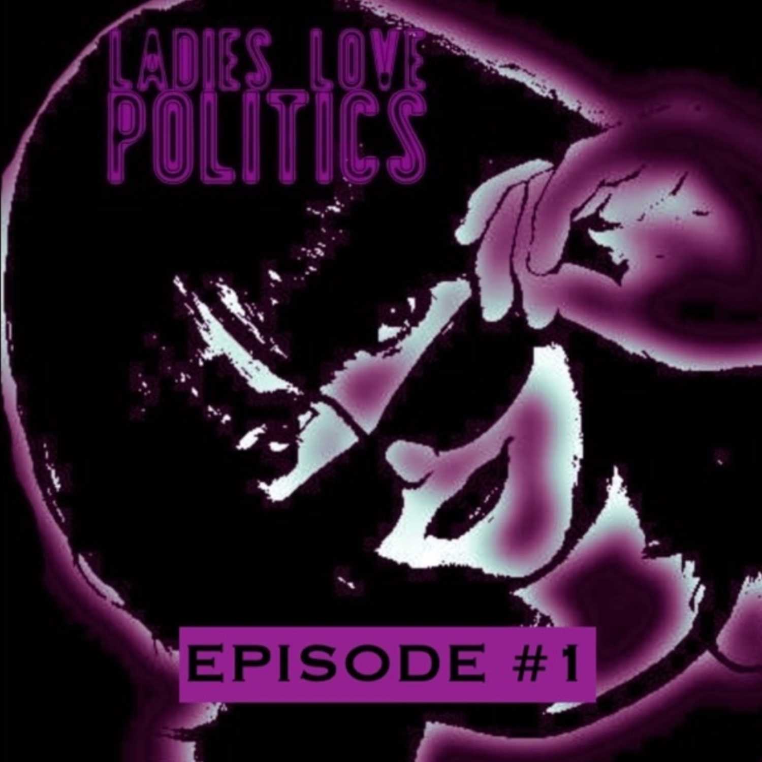 LADIES LOVE POLITICS