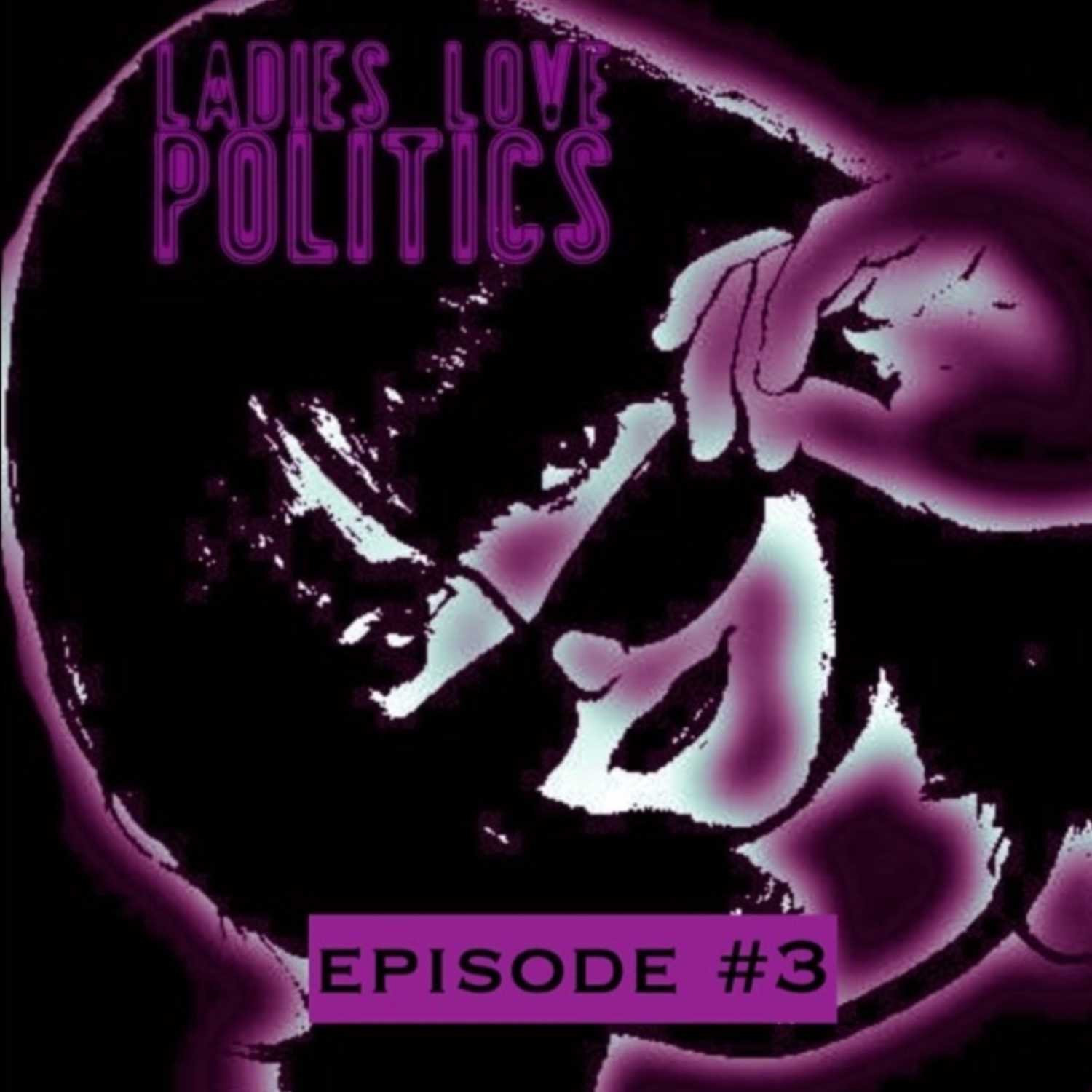 LADIES LOVE POLITICS