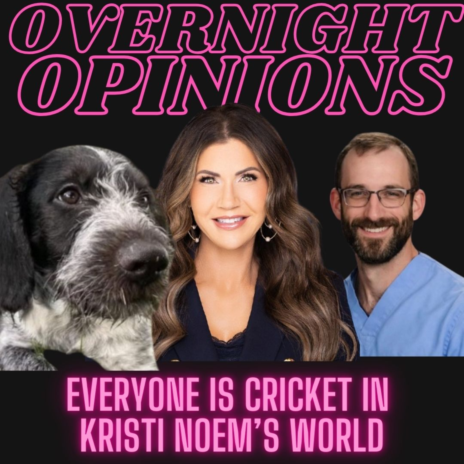 LADIES LOVE POLITICS