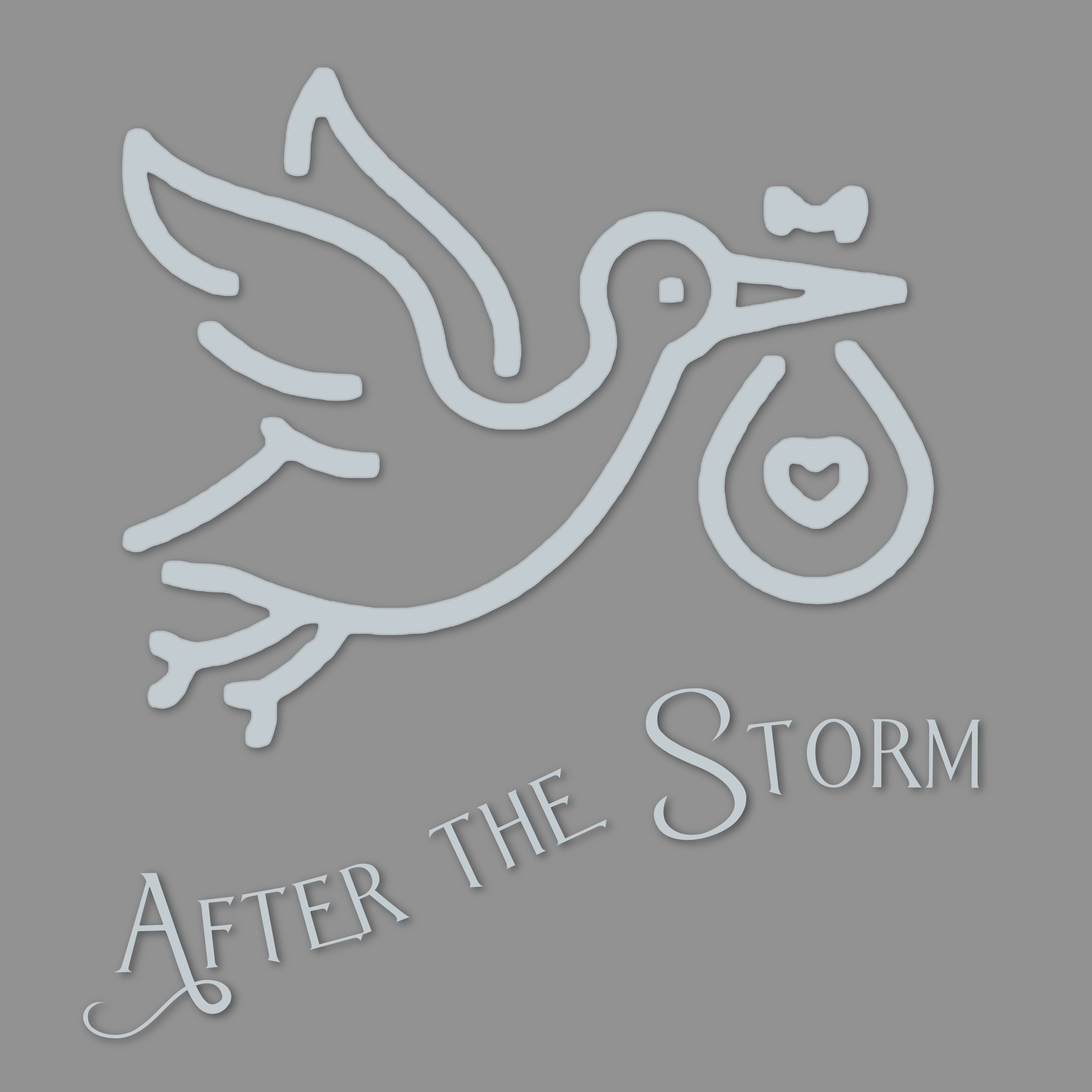 After the Storm
