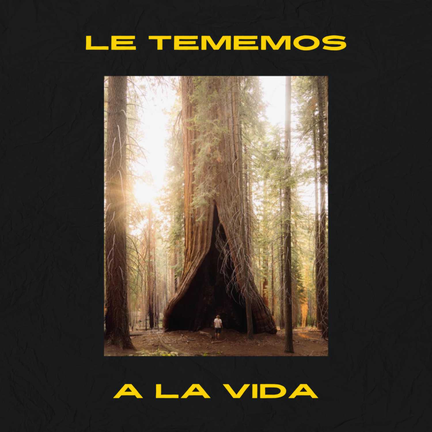 La Eñe Enmarañada