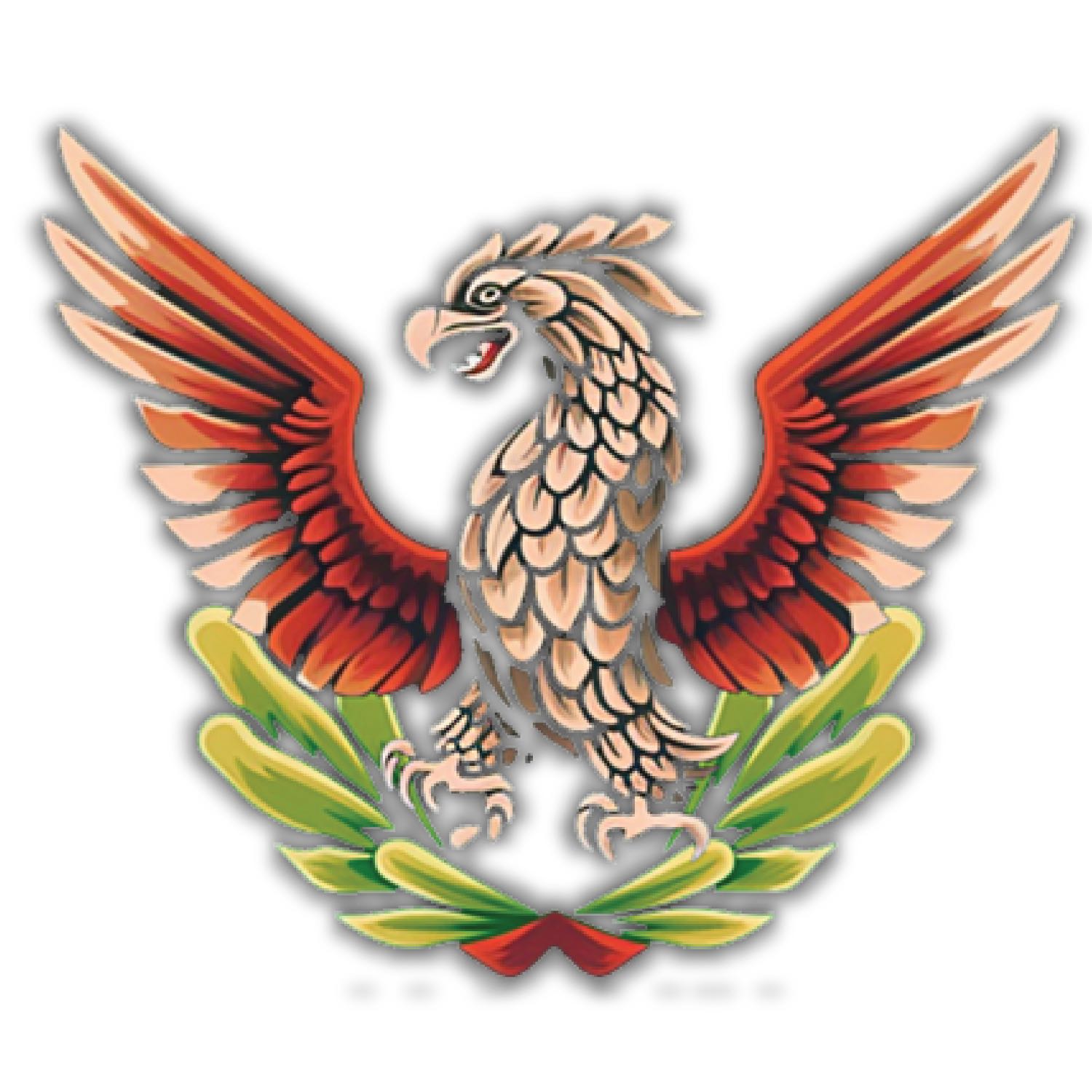 Proyecto Patria | RADIO