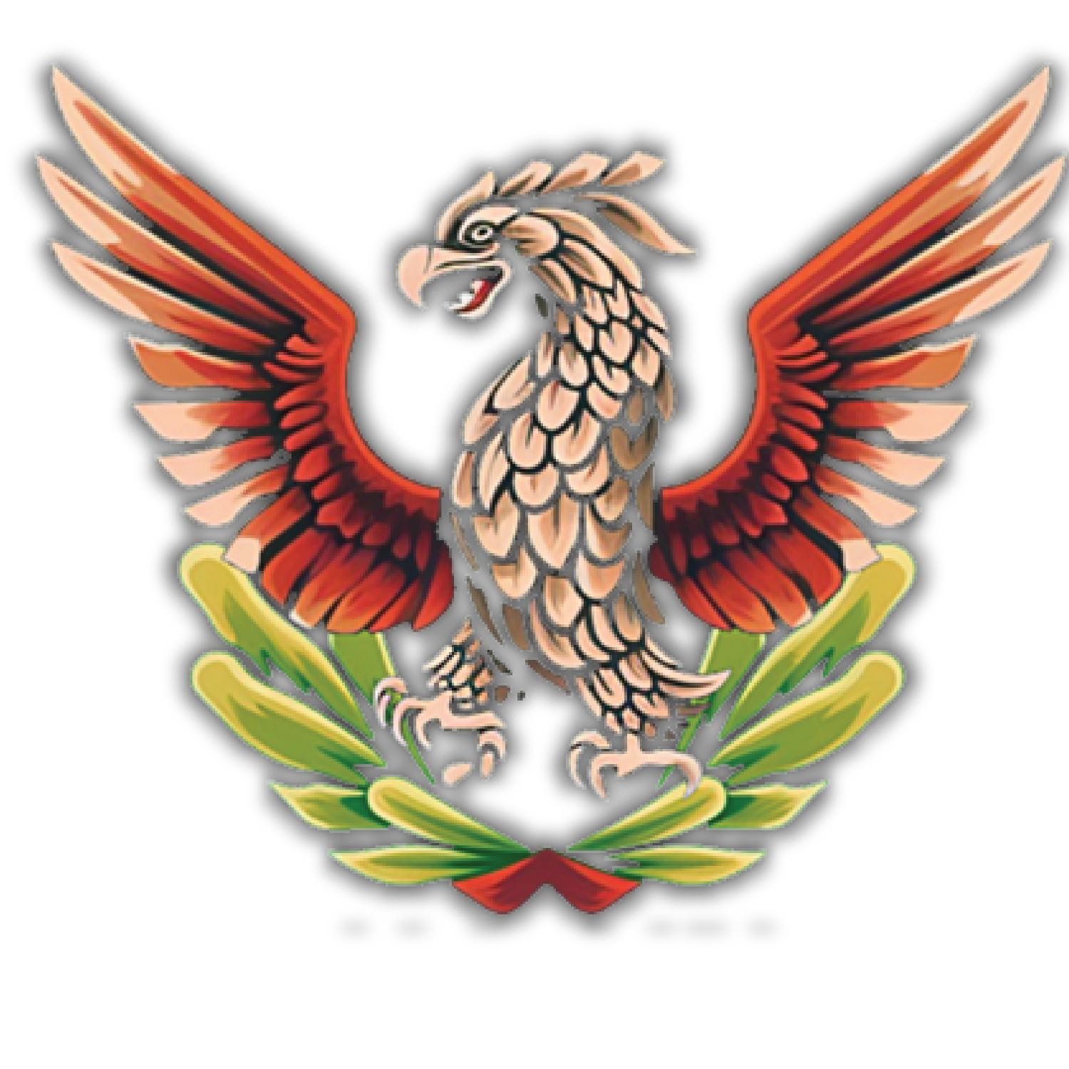Proyecto Patria | RADIO