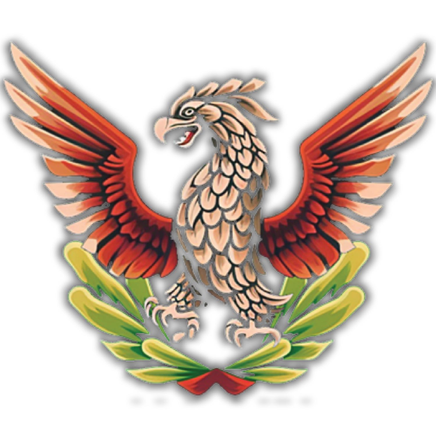 Proyecto Patria | RADIO