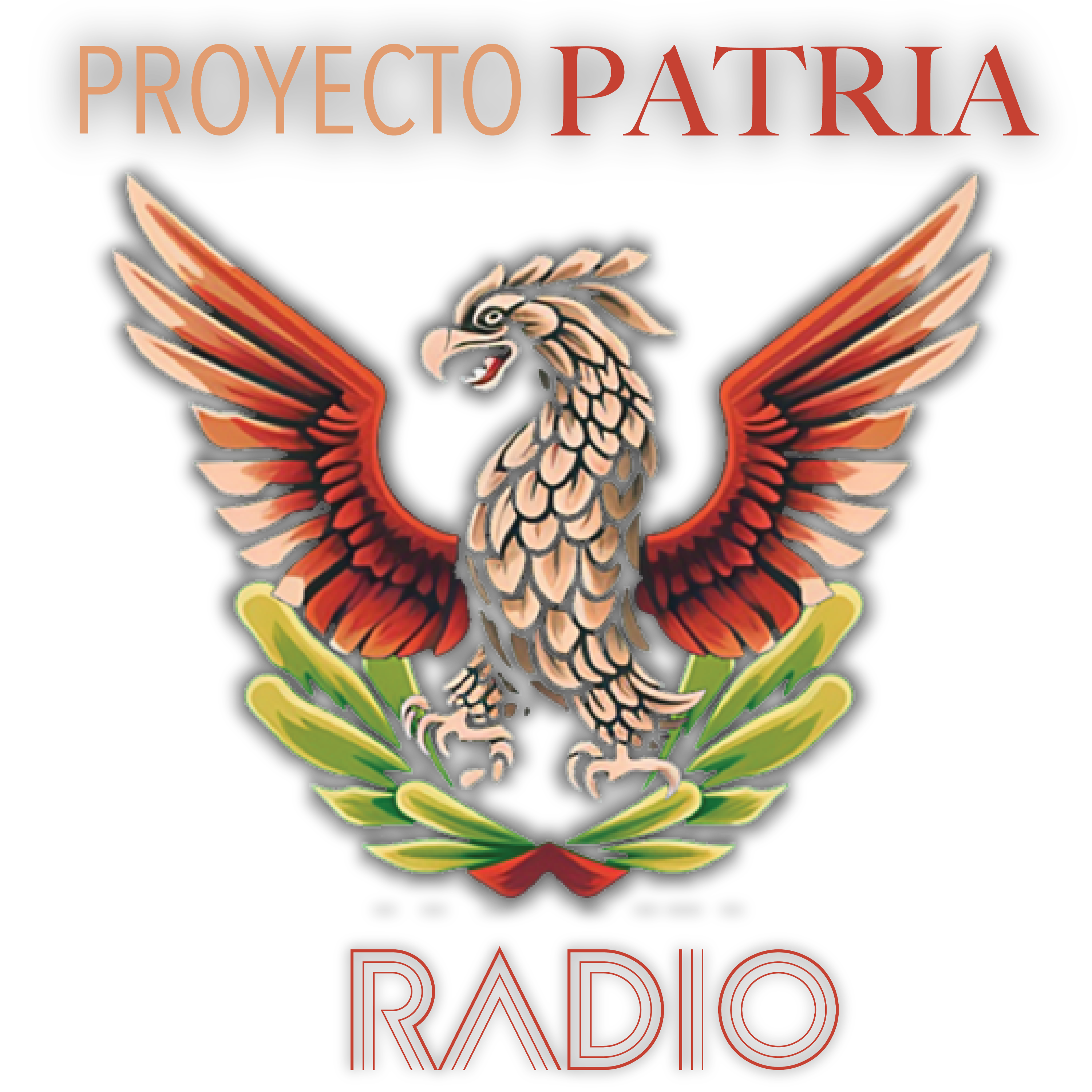Proyecto Patria | RADIO